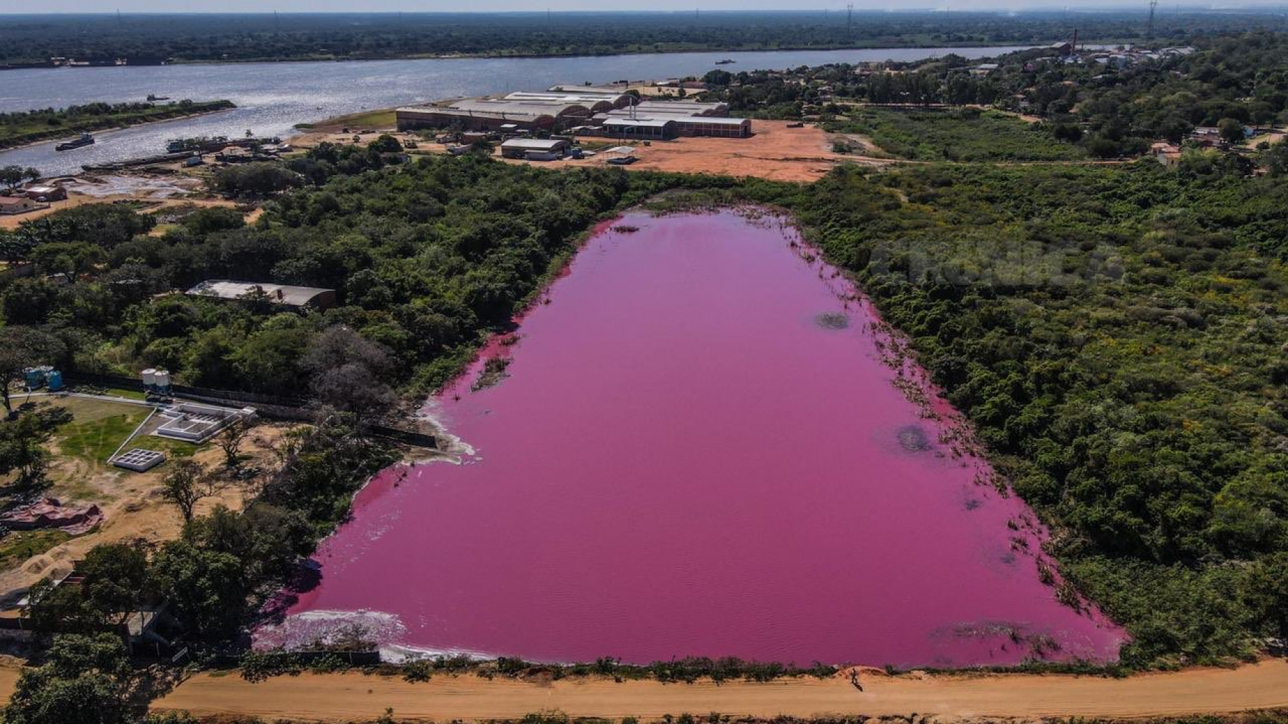 Investigan por qué un lago se tiñó de rojo en Paraguay