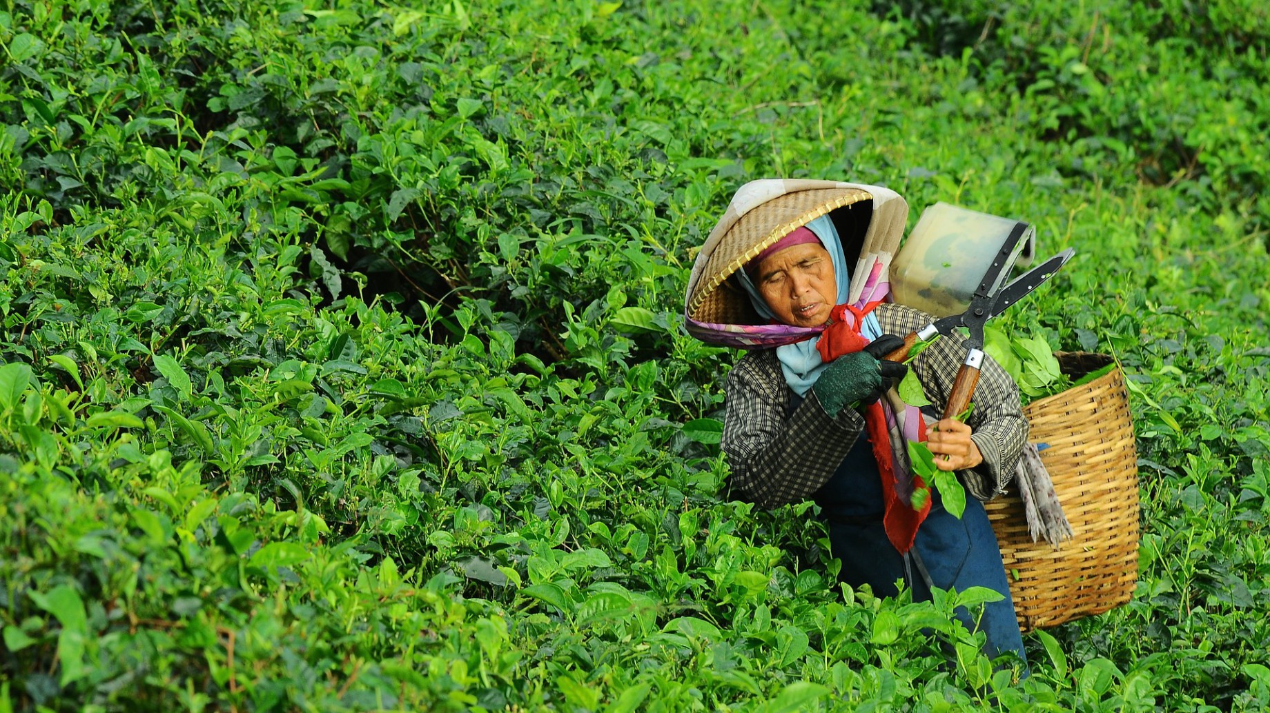Cómo girar hacia la generación de energías limpias, y crear empleos en el camino