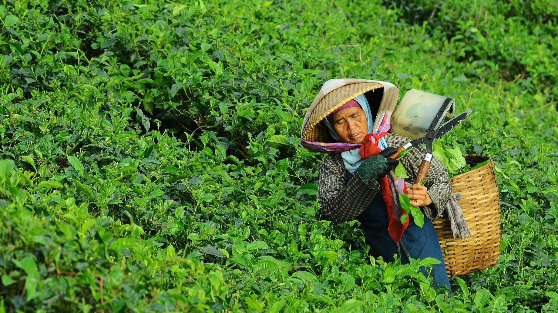 Cómo girar hacia la generación de energías limpias, y crear empleos en el camino