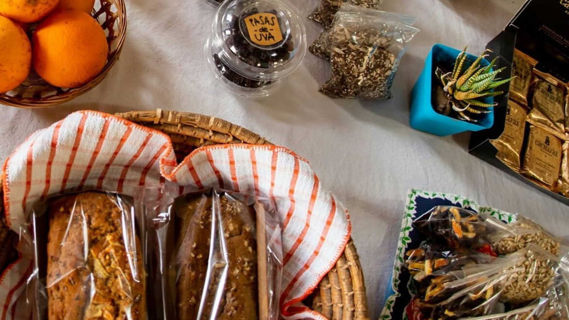 Argentina: se creó el mapa del Empleo Verde Local