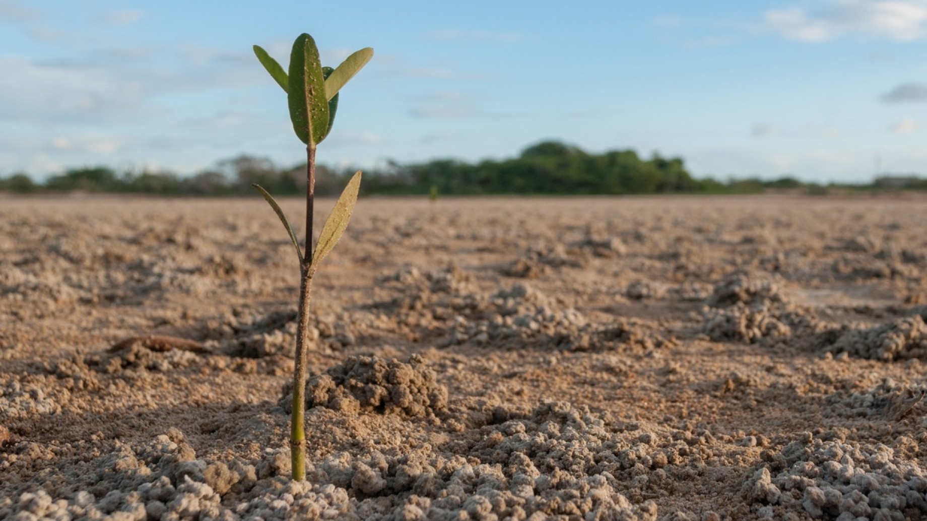 Así está afectando la sequía a Argentina, Chile y Brasil