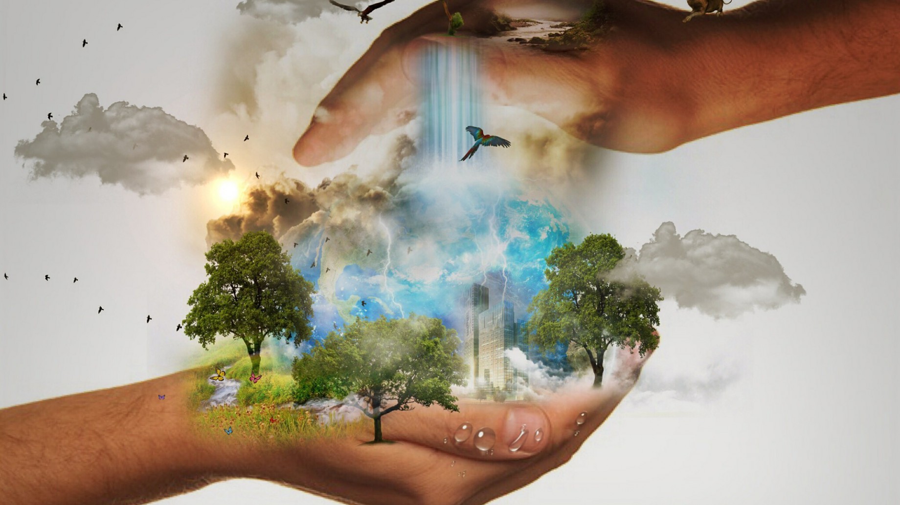 4º Convención CEMA: Sustentabilidad, Avances y Retos Actuales. La experiencia de las empresas europeas y del resto del mundo