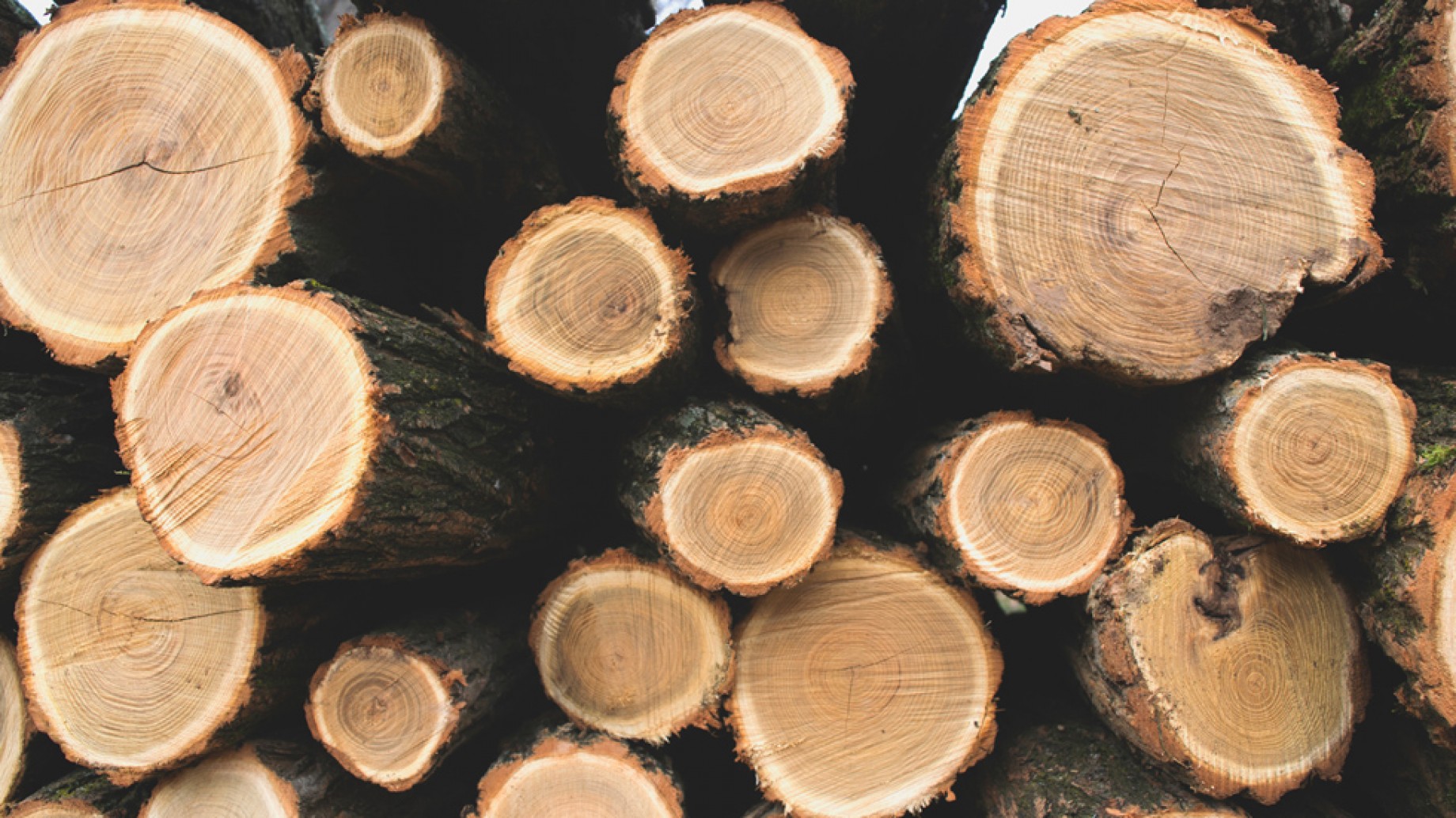 Argentina en default (también) ambiental