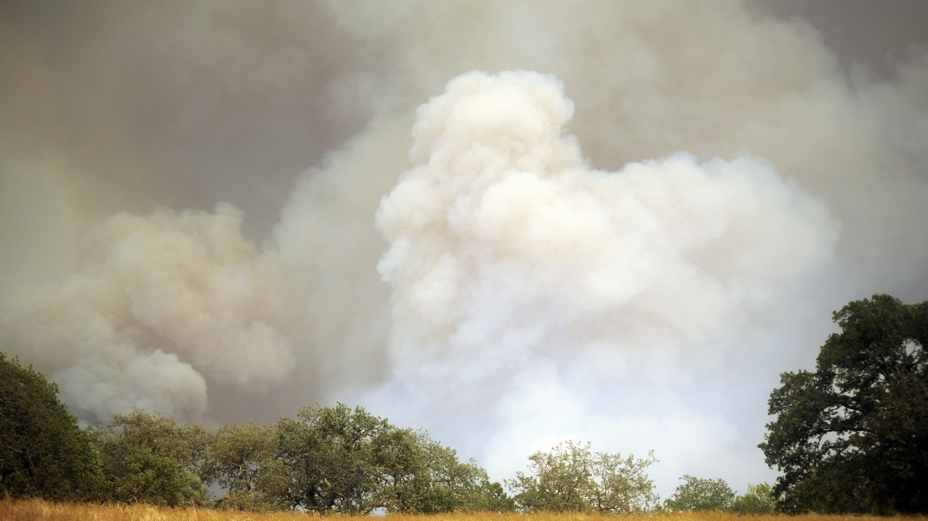 Incendios en California: al menos 15 muertos y medio millón de evacuados