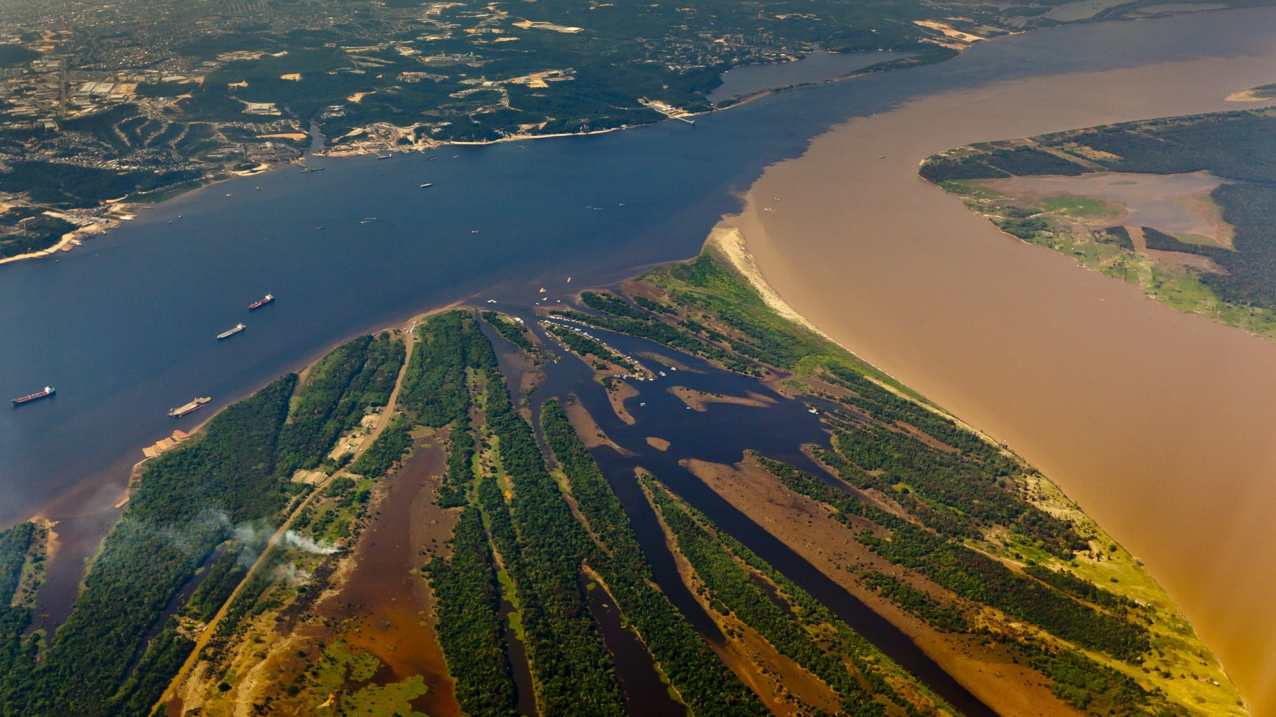 Brasil: el éxito agropecuario genera un desastre ambiental en el Amazonas