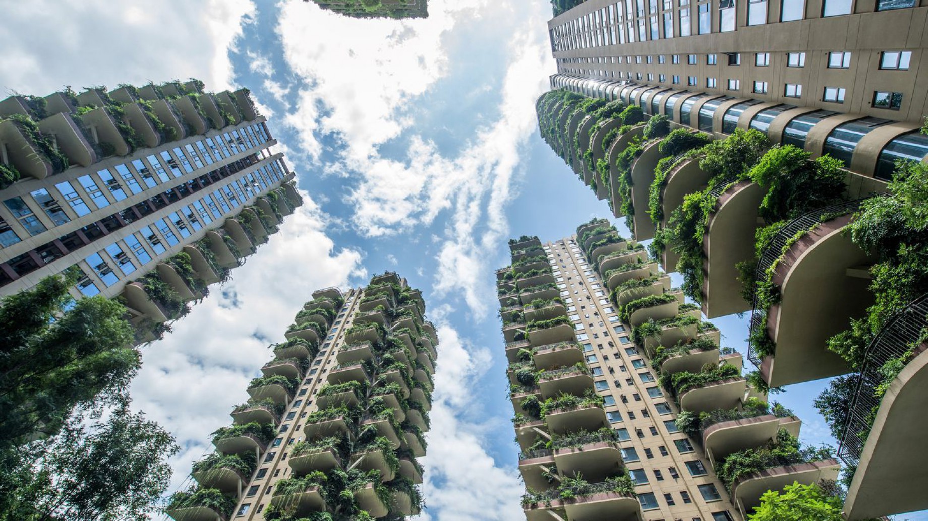 Puede fallar: un proyecto de edificios con bosques verticales terminó abandonado