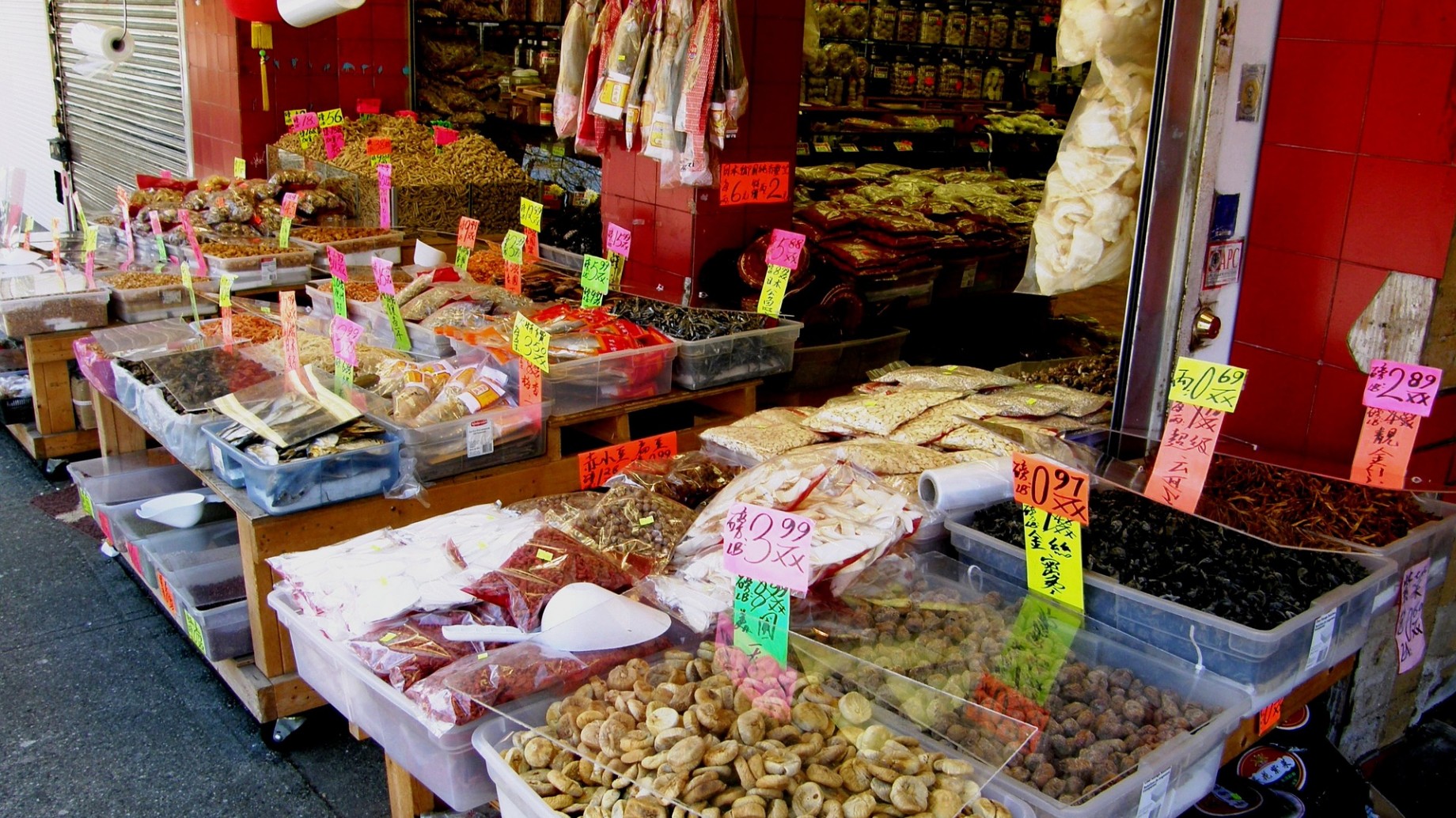 Unir la salud humana, animal y ambiental para prevenir la próxima pandemia