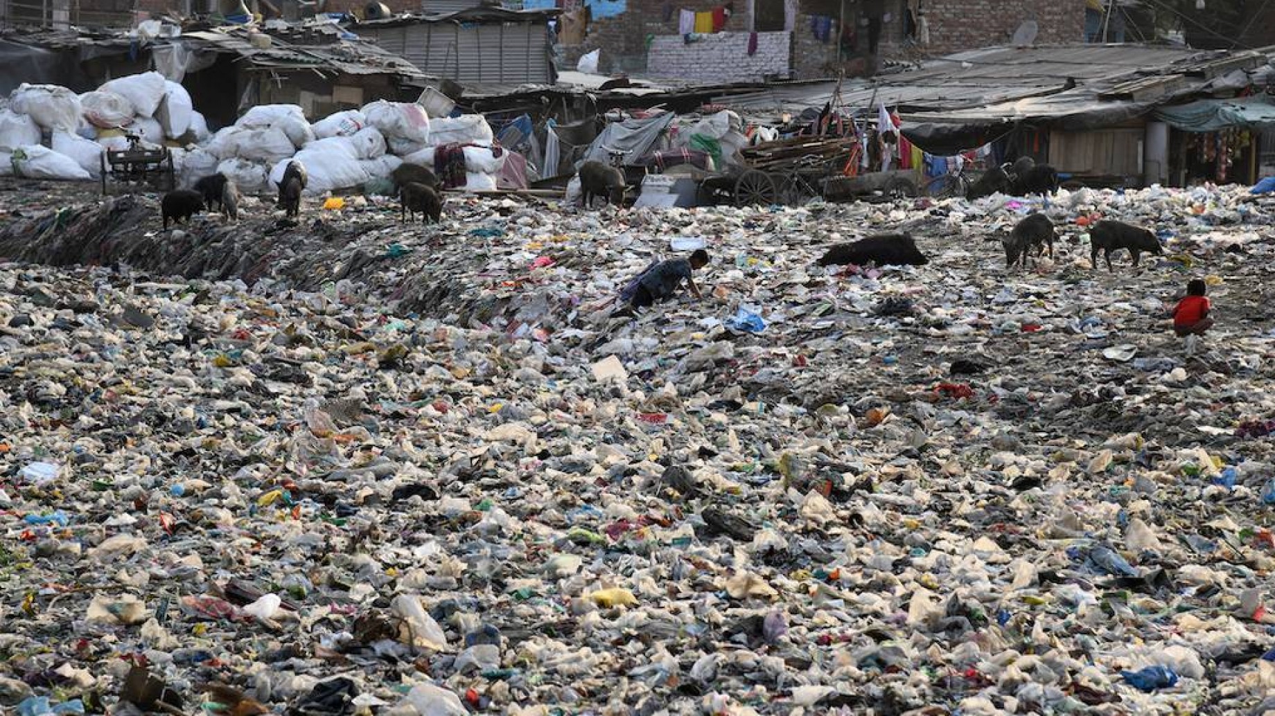 Los envíos de Amazon y el problema del plástico en India, un país al límite