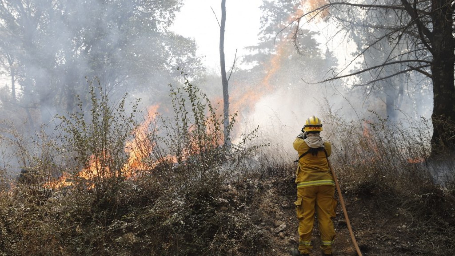 Incendios en Córdoba: continúa la alerta máxima en toda la provincia