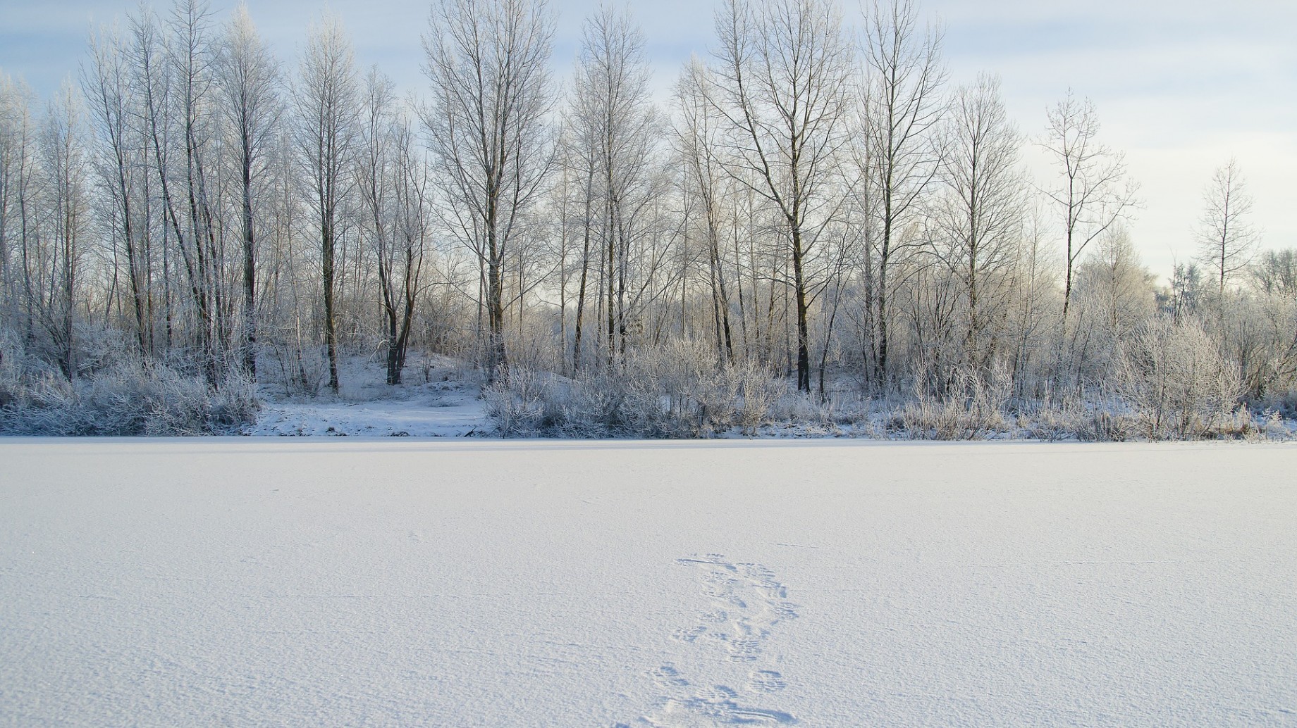 Siberia, en la vía rápida hacia el calentamiento