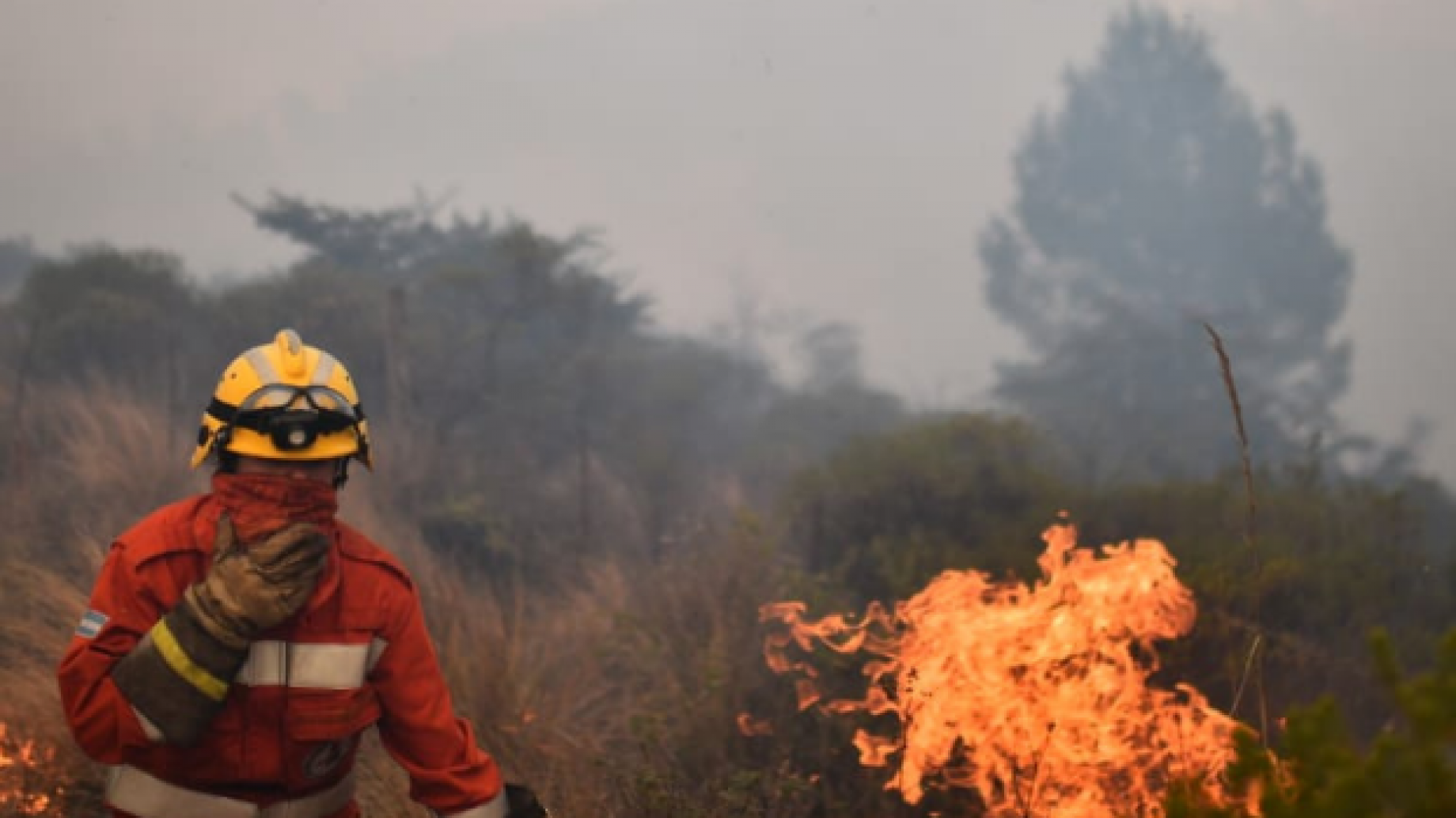 Manejo del Fuego: qué dice el proyecto de ley que quiere evitar más incendios intencionales