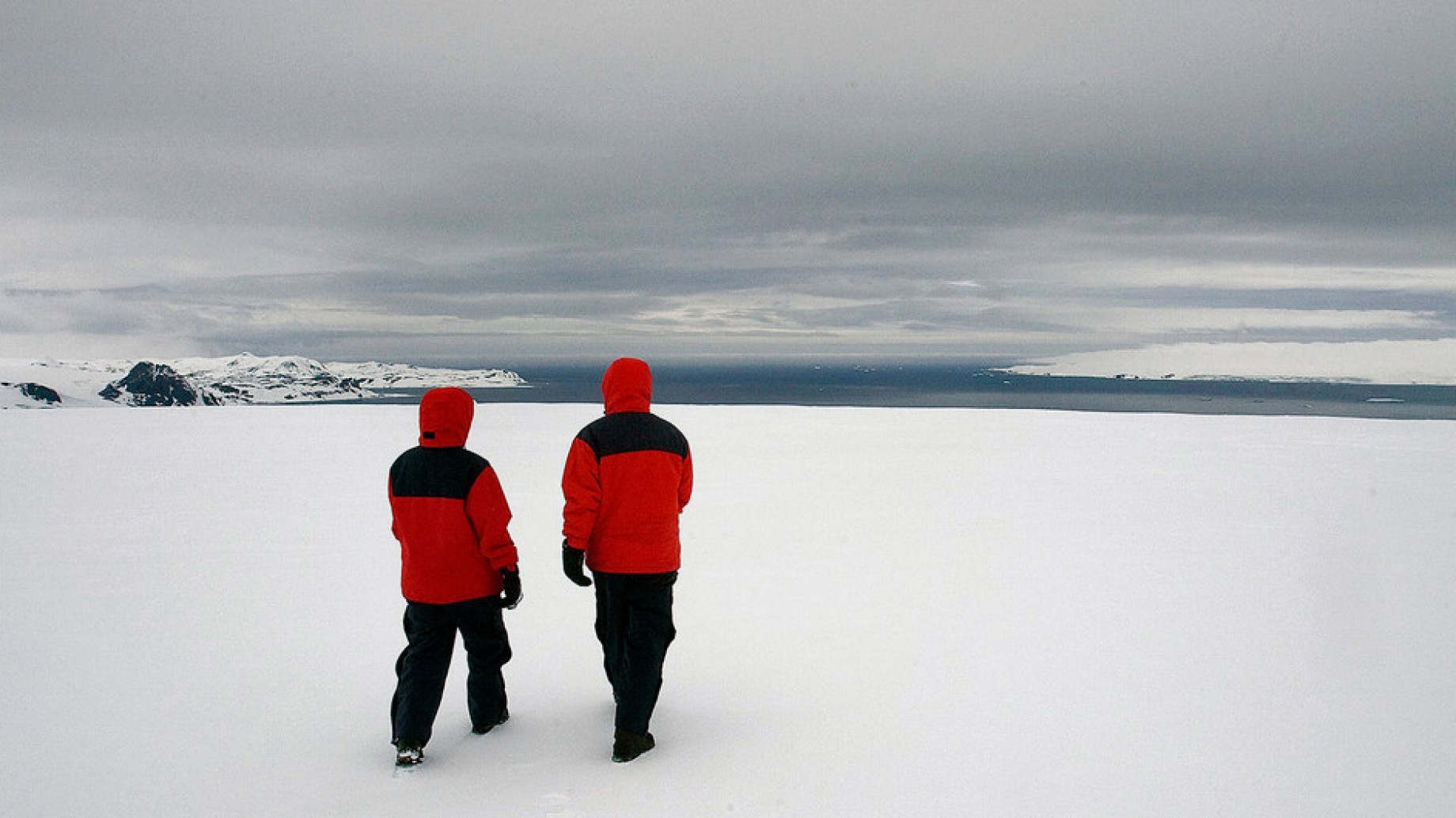 Agujero de ozono: en 2020 es uno de los más grandes de la última década