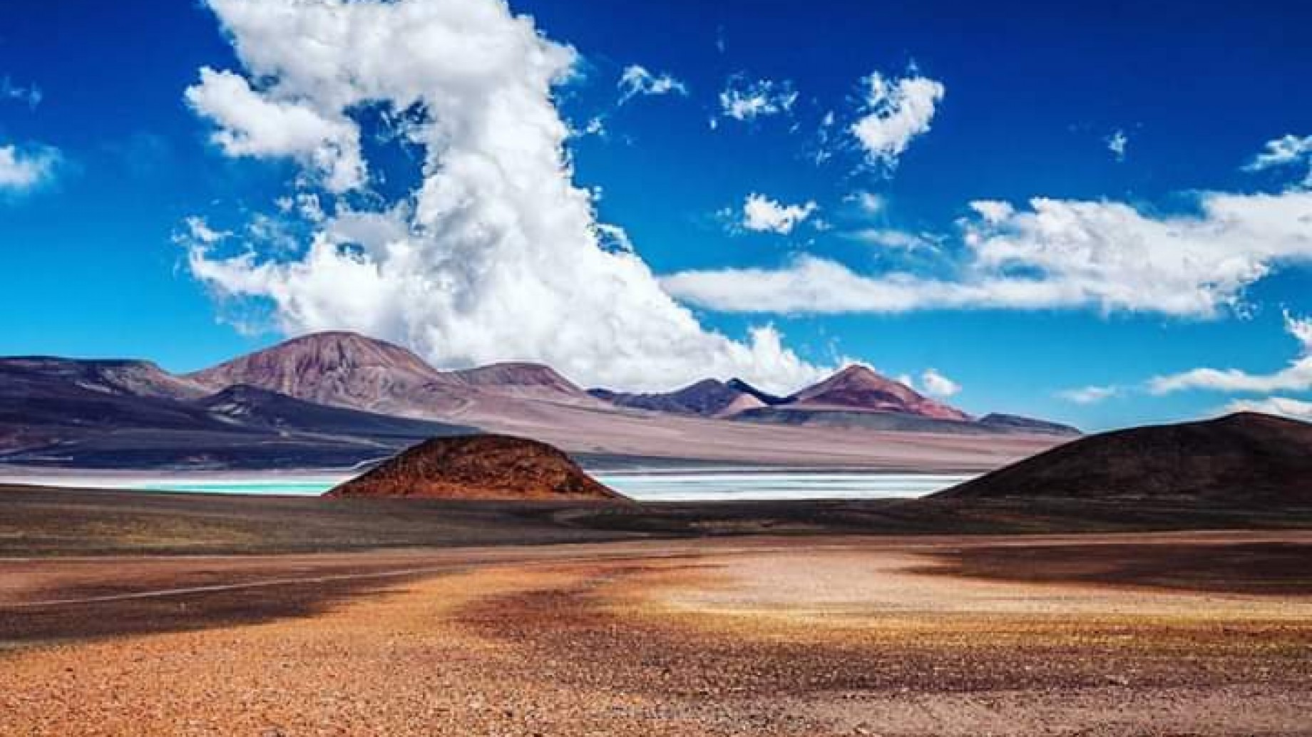 Celebrar las áreas protegidas, la llave para la conservación