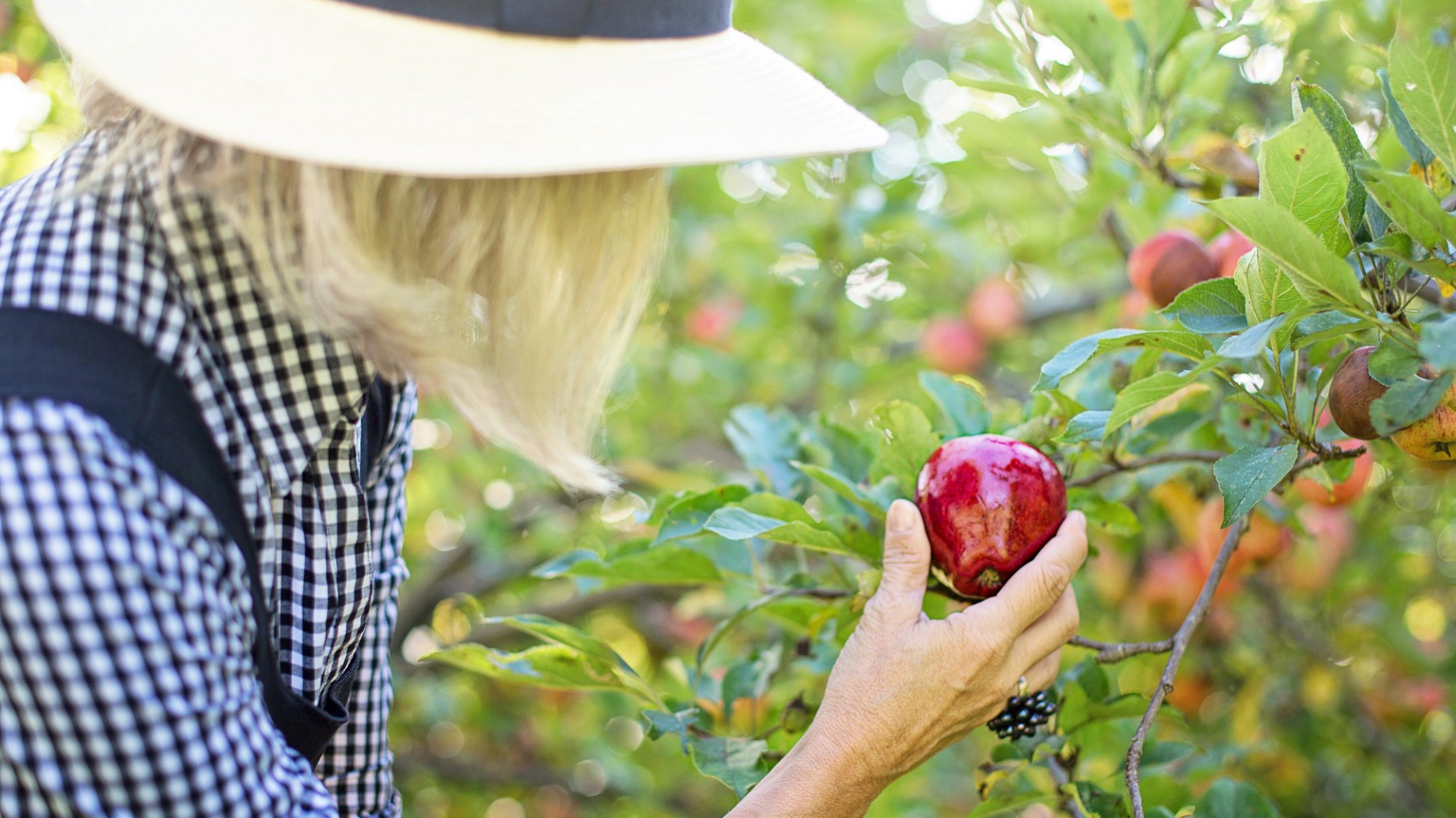 Espacios verdes: ¿es posible ser más feliz trabajando un jardín o una huerta?