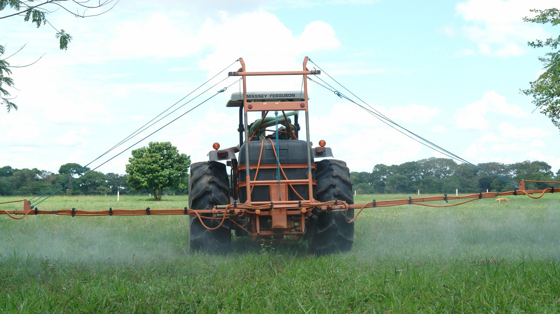 Pergamino: el INTA busca avanzar con la fumigación en una zona prohibida