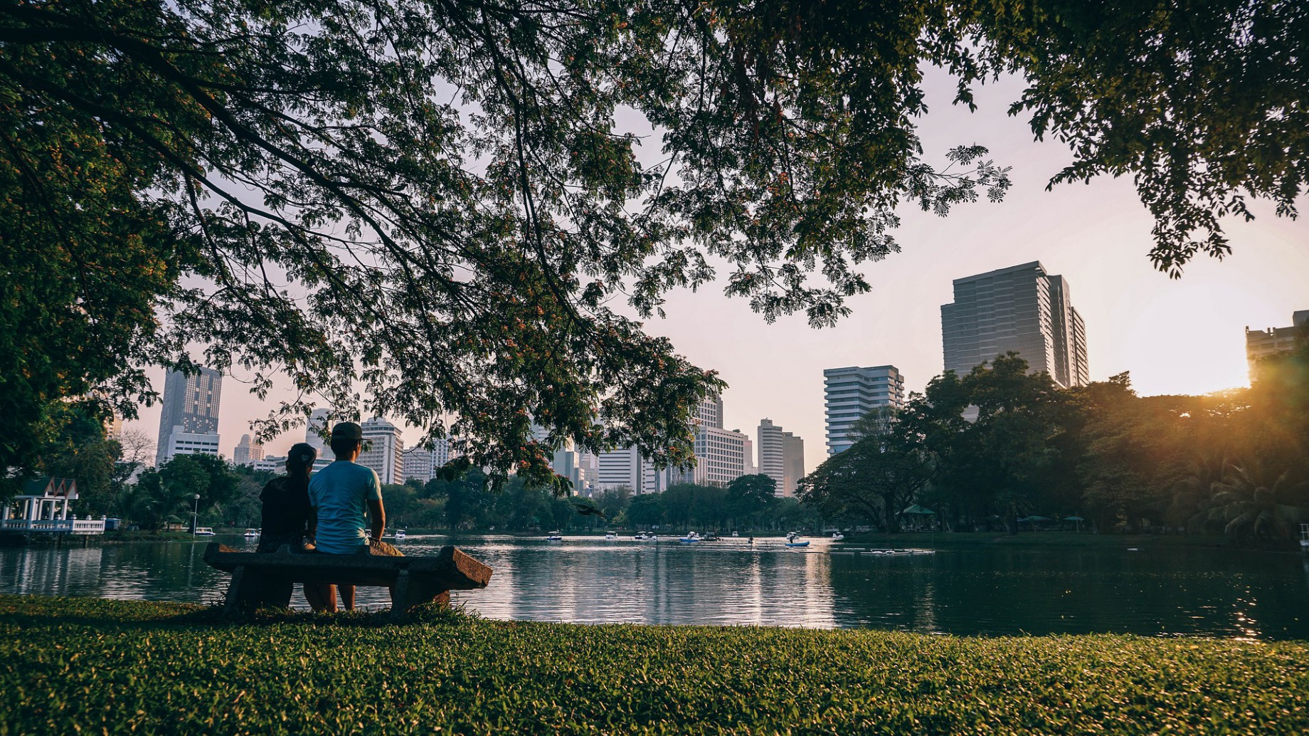 Reforestación urbana: los barrios pobres son los más favorecidos