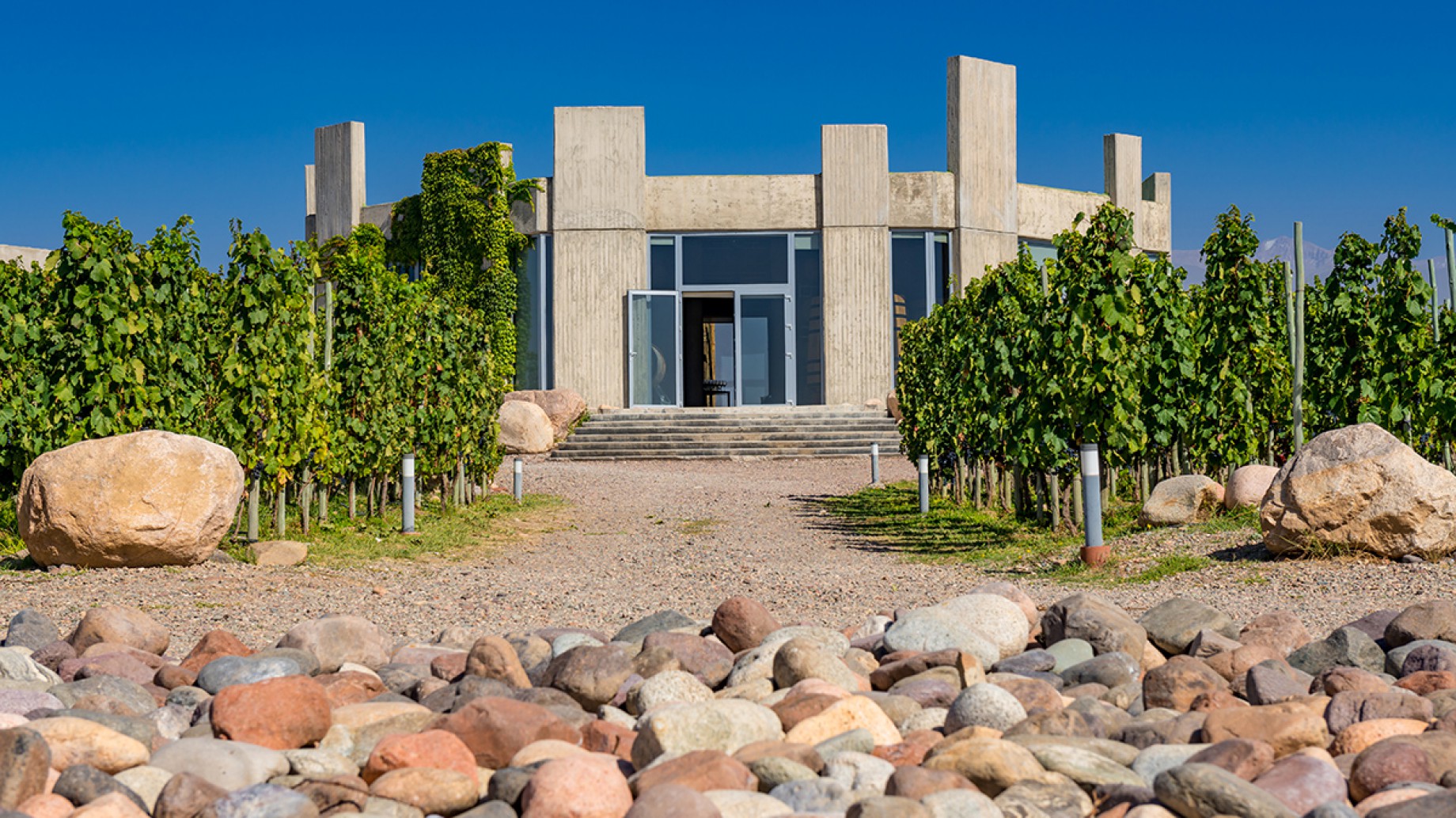 Cuál es la bodega mendocina que ganó el oro mundial en sustentabilidad