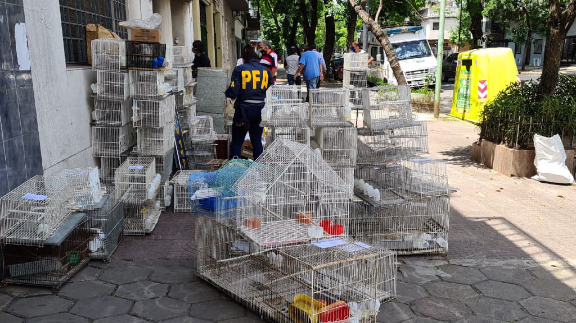 Rescataron aves e imputaron por crueldad animal a quienes las tenían en cautiverio