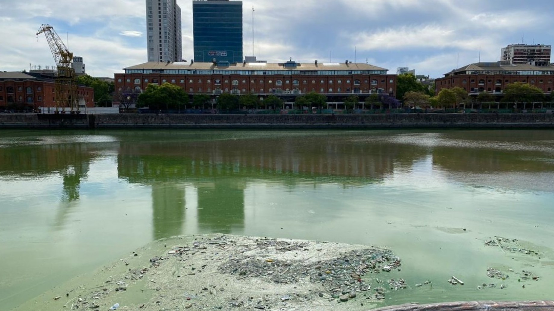 Aguas verdes y venenosas: los agrotóxicos y el cambio climático son las causas principales
