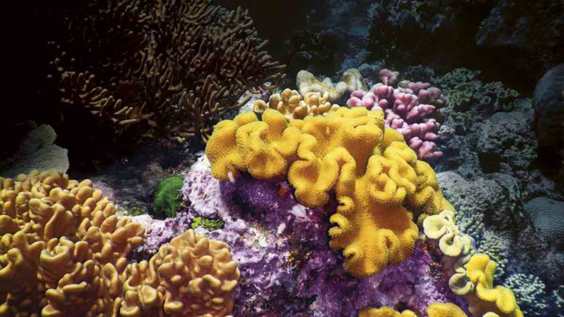 El cambio climático es la principal amenaza para los monumentos naturales