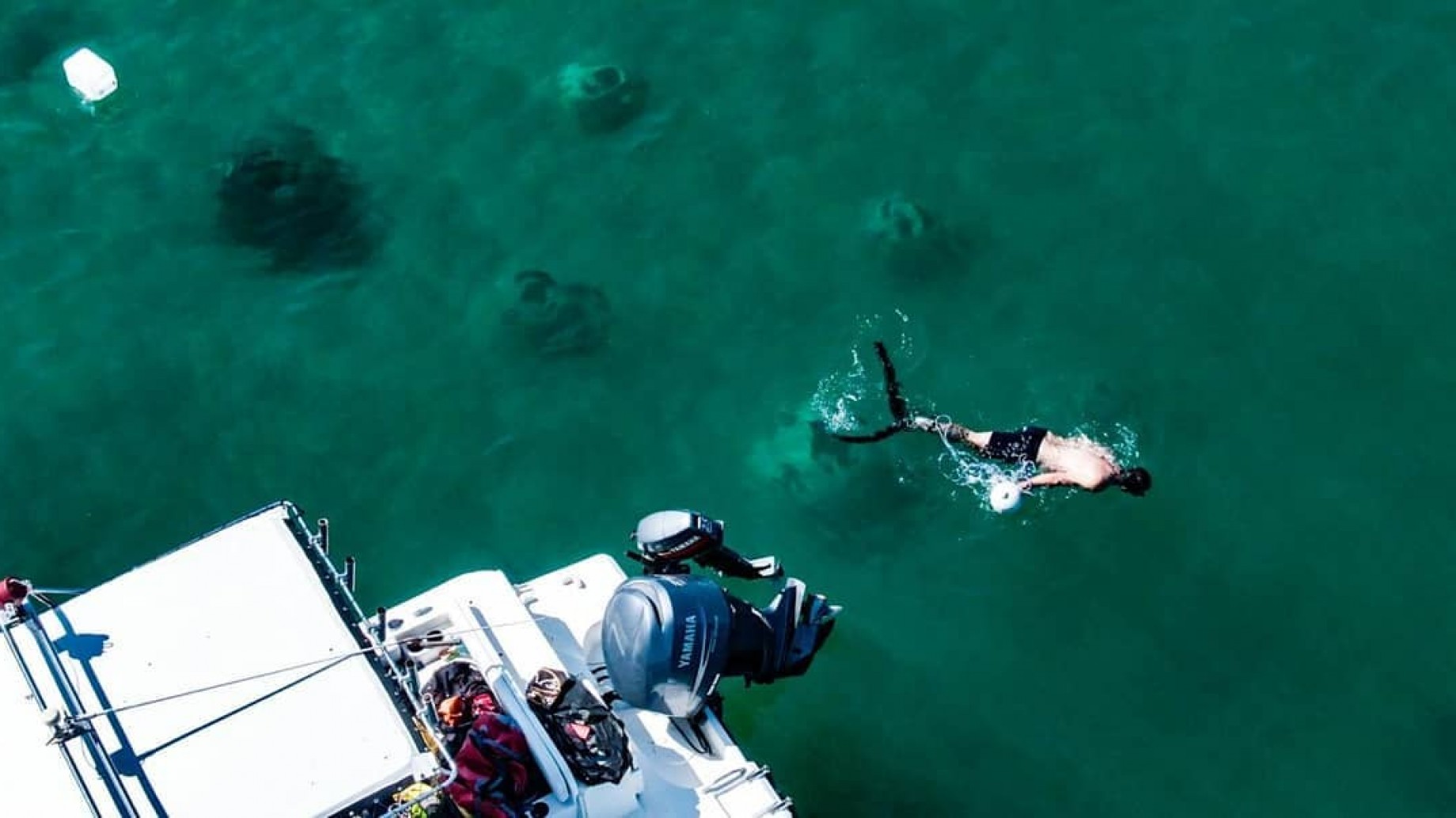 Instalan "arrecifes artificiales" en las aguas de Costa Rica para darle hábitat a los animales