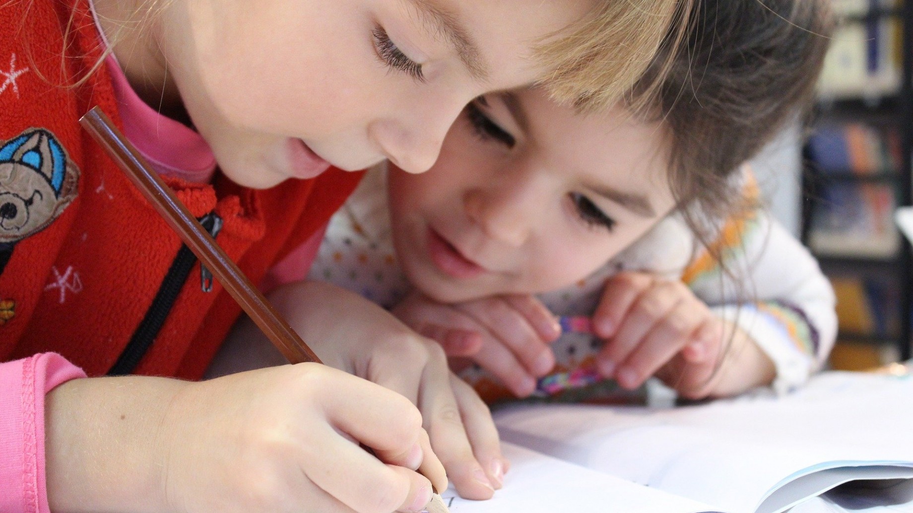 La Educación Ambiental: una deuda argentina