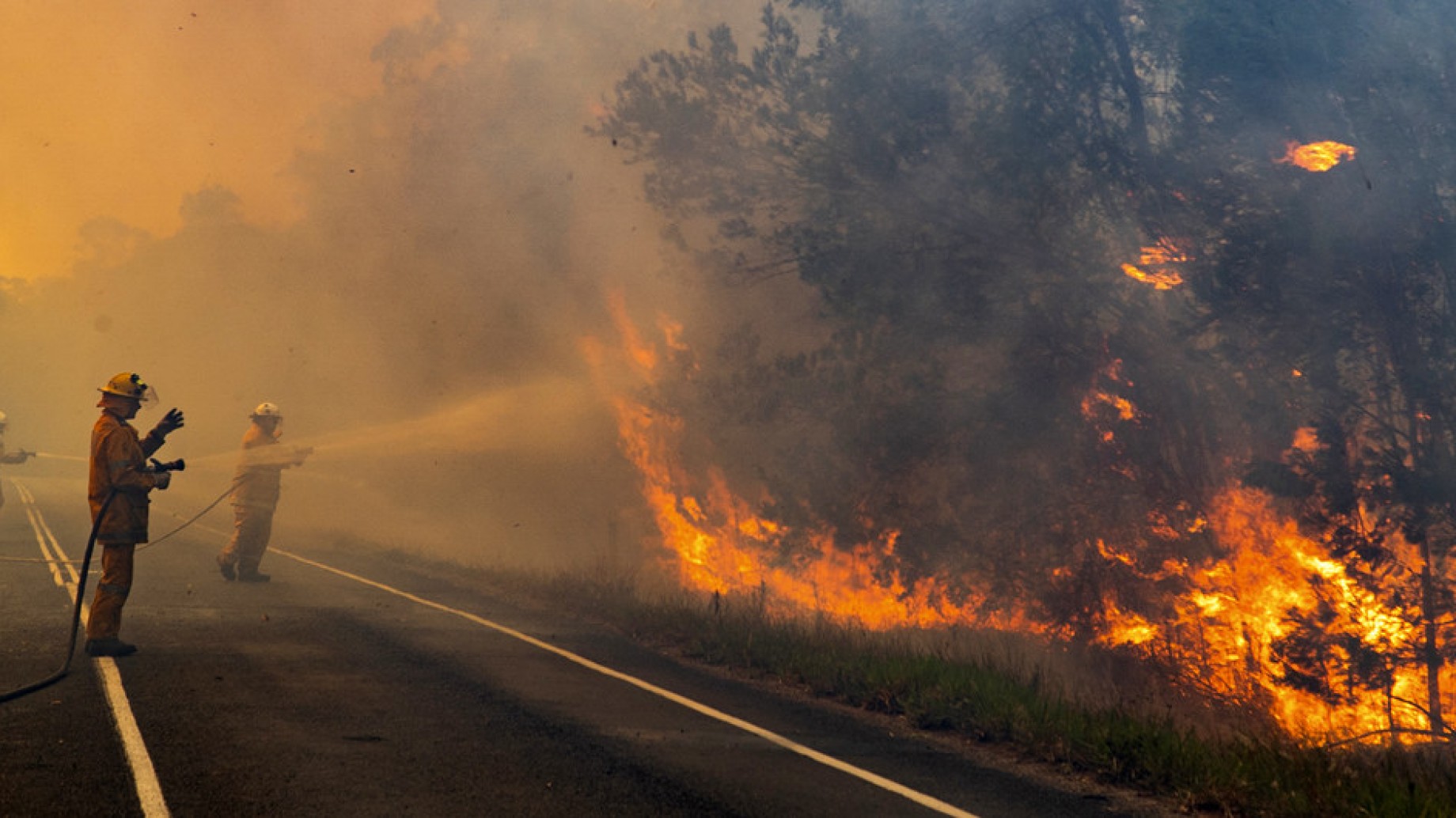 Australia: se agravan los incendios forestales que ya arrasaron 71 viviendas