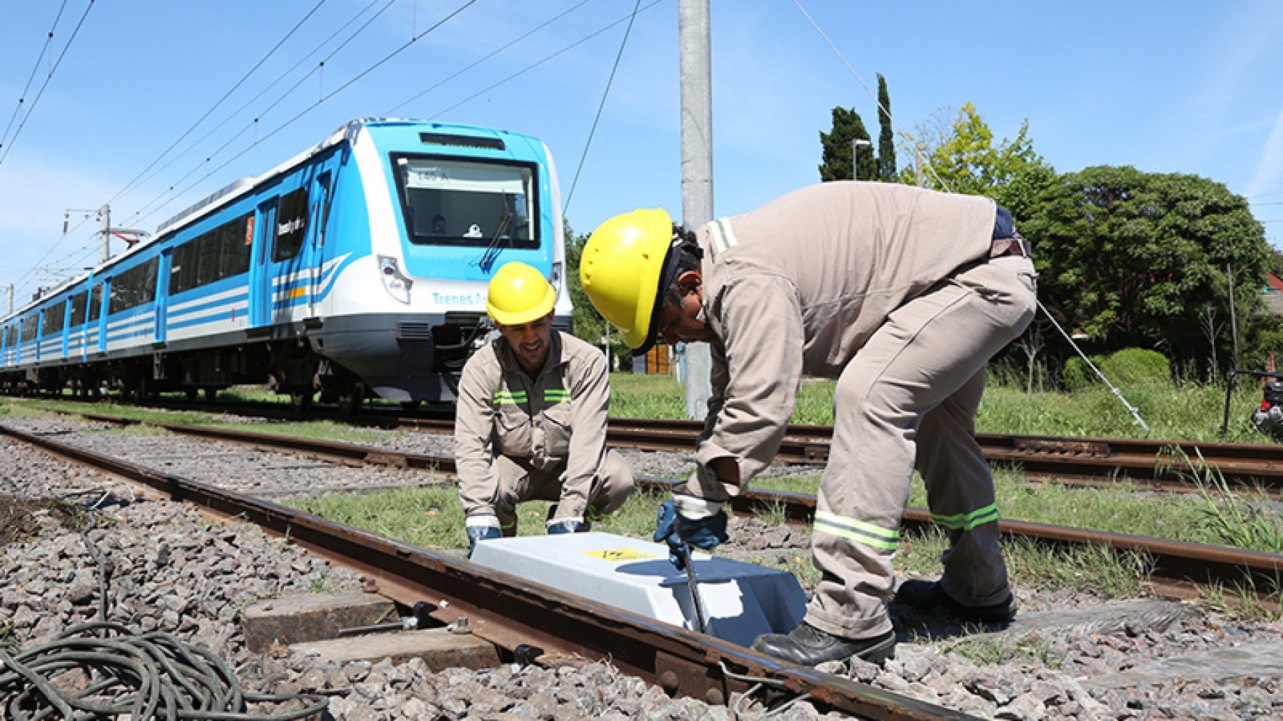 El Gobierno necesita 100.000 durmientes para vías: ¿Es posible conseguirlos sin talar quebrachos?