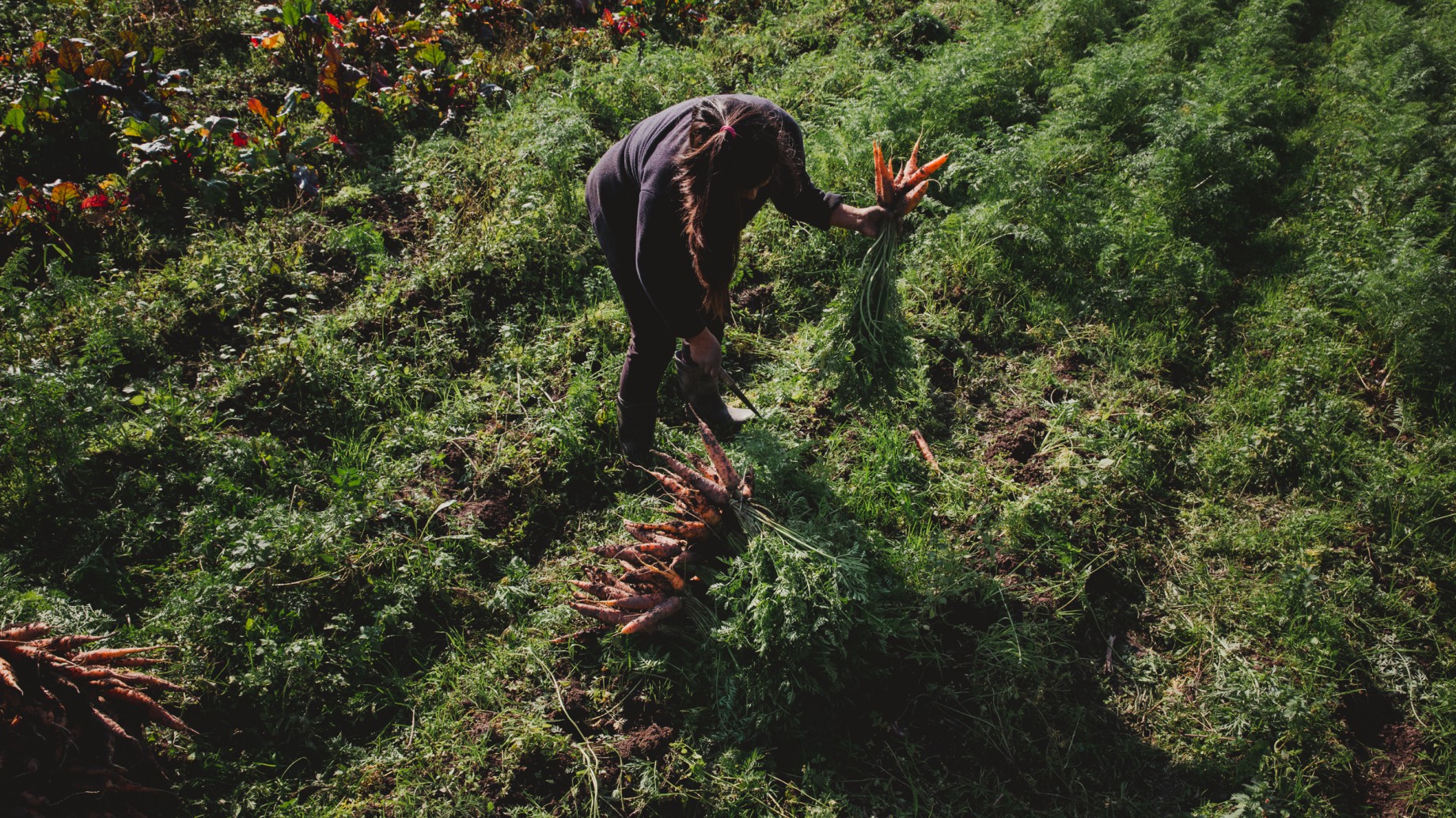 Día del Medio Ambiente: ¿mismas recetas o cambio de modelo?