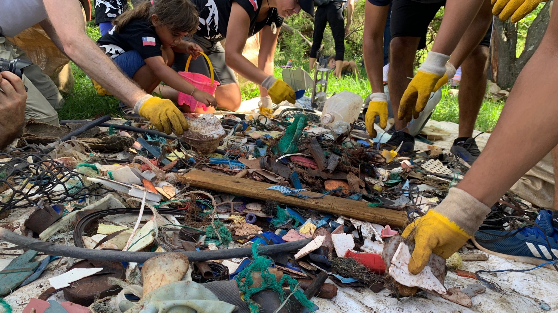 La década de la restauración: historias a favor de los ecosistemas