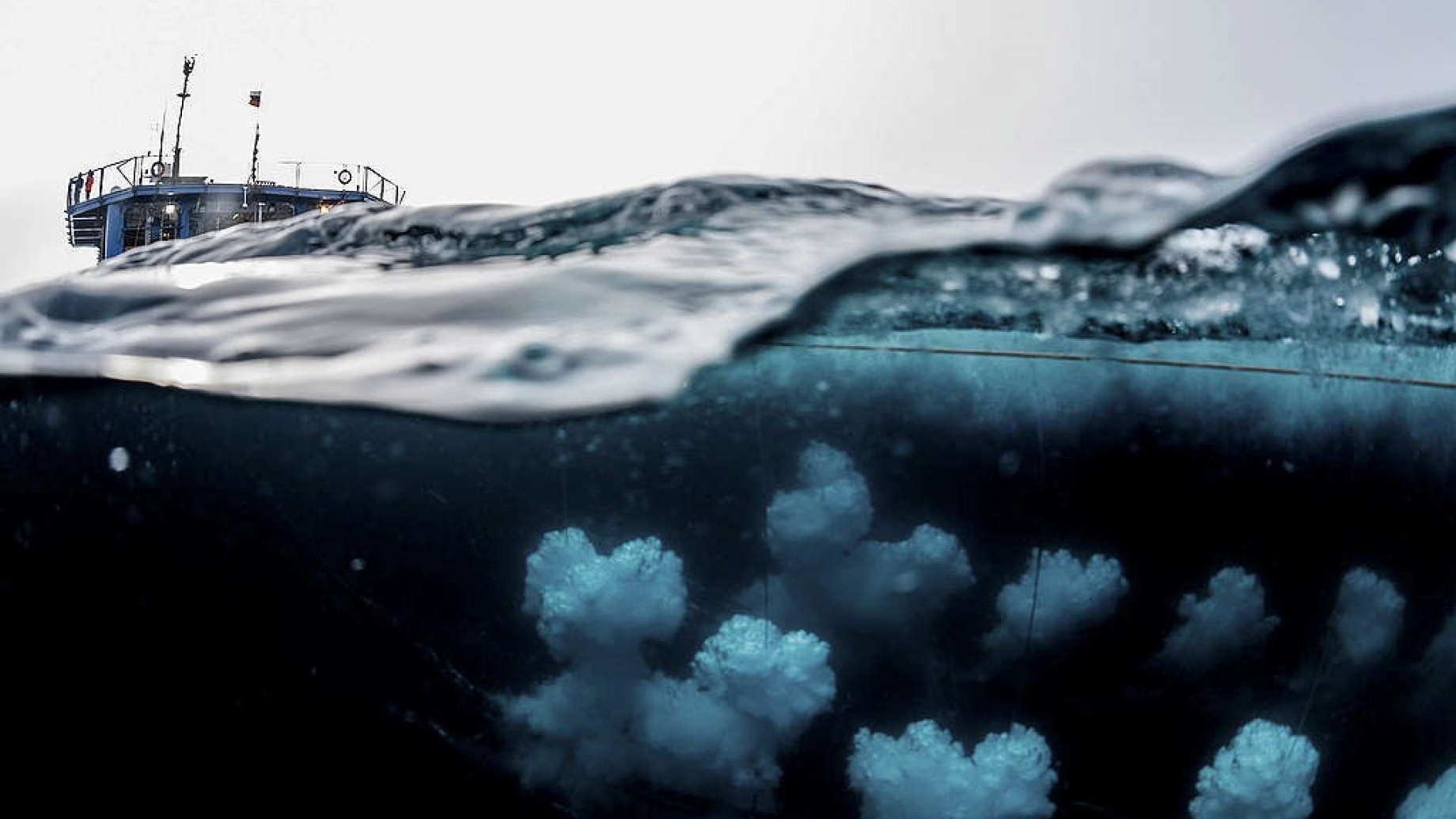 Sin un plan definido de transición energética, la justicia argentina autorizó la exploración de petróleo offshore a 300 km de Mar del Plata: cómo sigue la disputa judicial