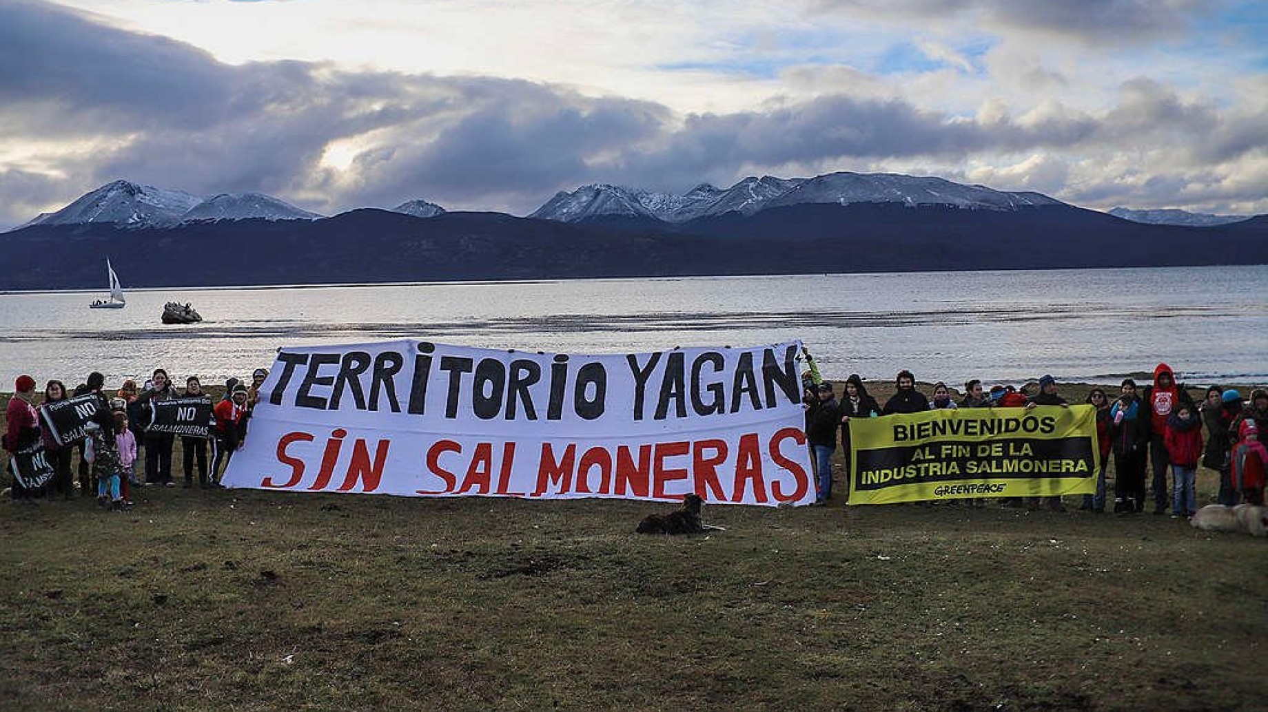 Maldesarrollo y salmones: qué hay detrás de la prohibición en Tierra del Fuego