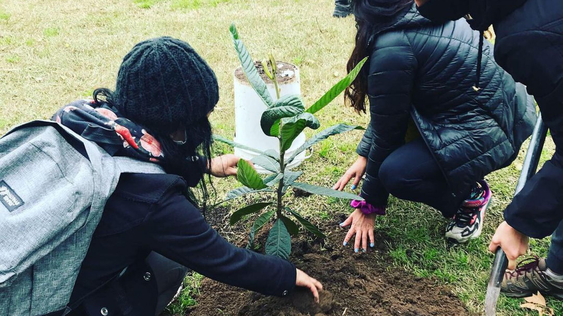 Plantan "montes frutales" para generar más alimentos en la Ciudad de Buenos Aires