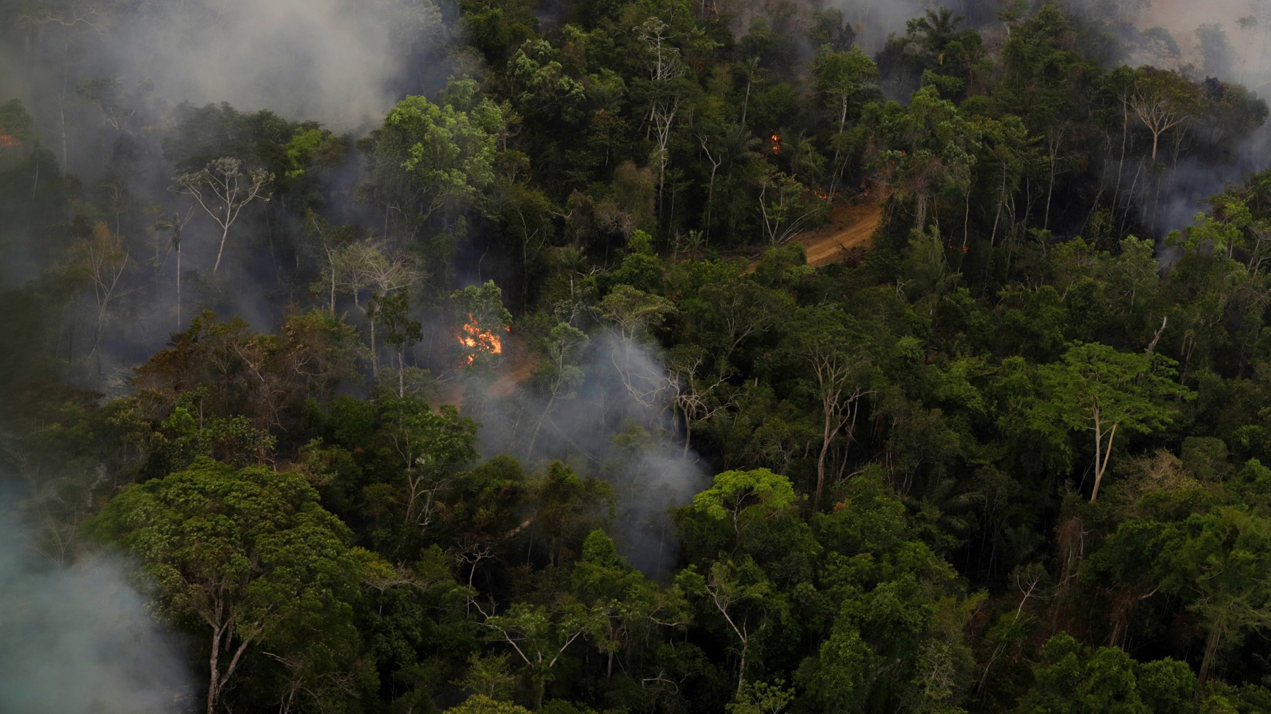 Por el cambio climático y la deforestación, algunas zonas del Amazonas emiten más CO2 del que absorben