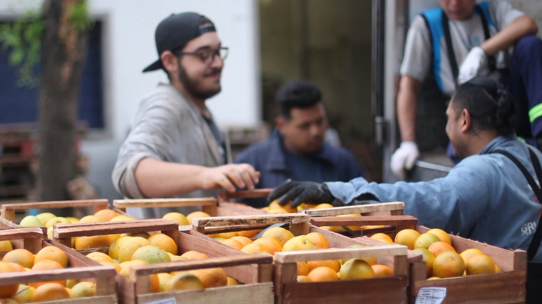 La UTT lanzó la Red de Almacenes Soberanos que venderán sus productos agroecológicos