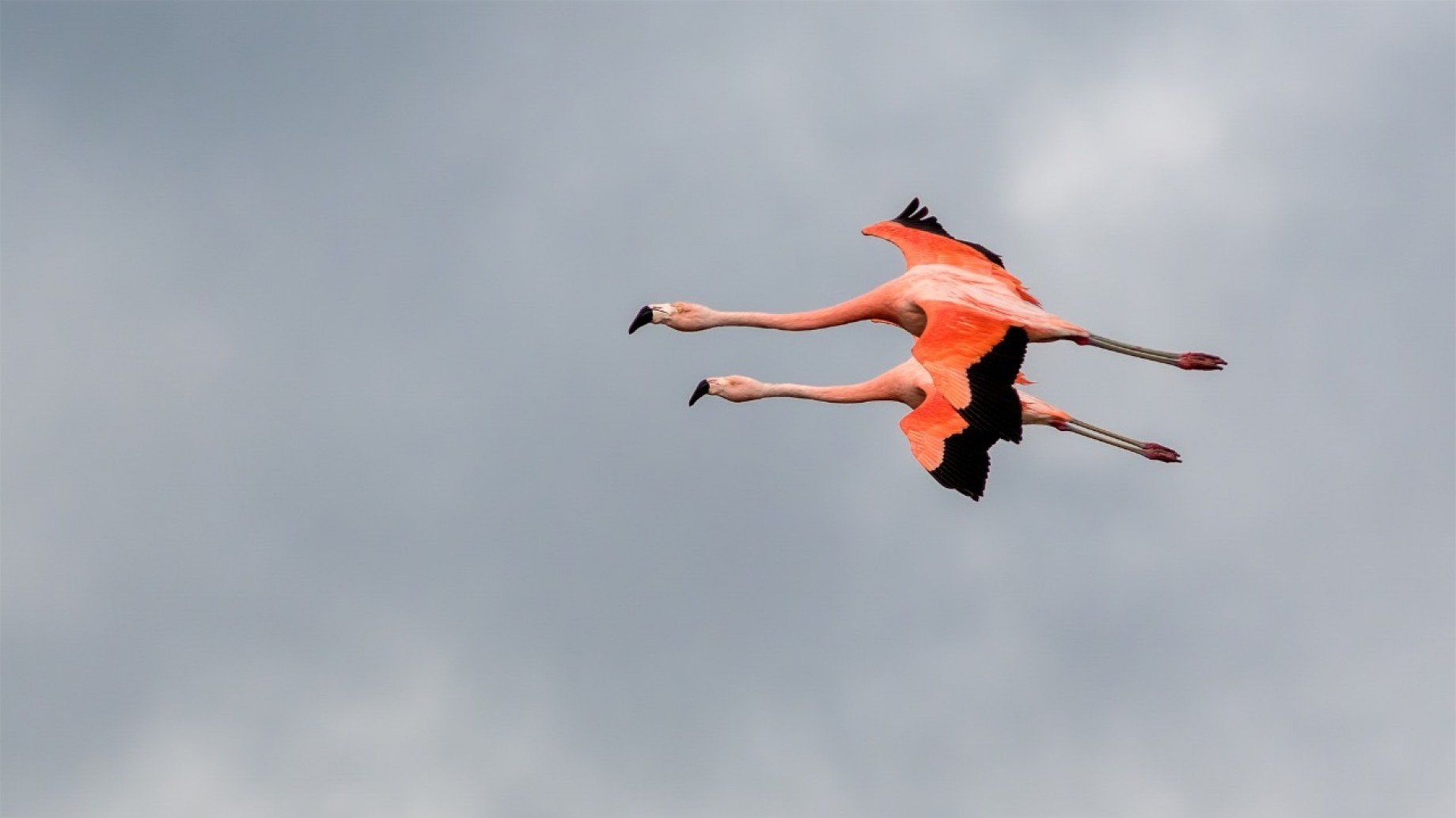 Córdoba le cedió jurisdicción ambiental a la Nación y el Parque y Reserva Nacional Ansenuza está más cerca de concretarse