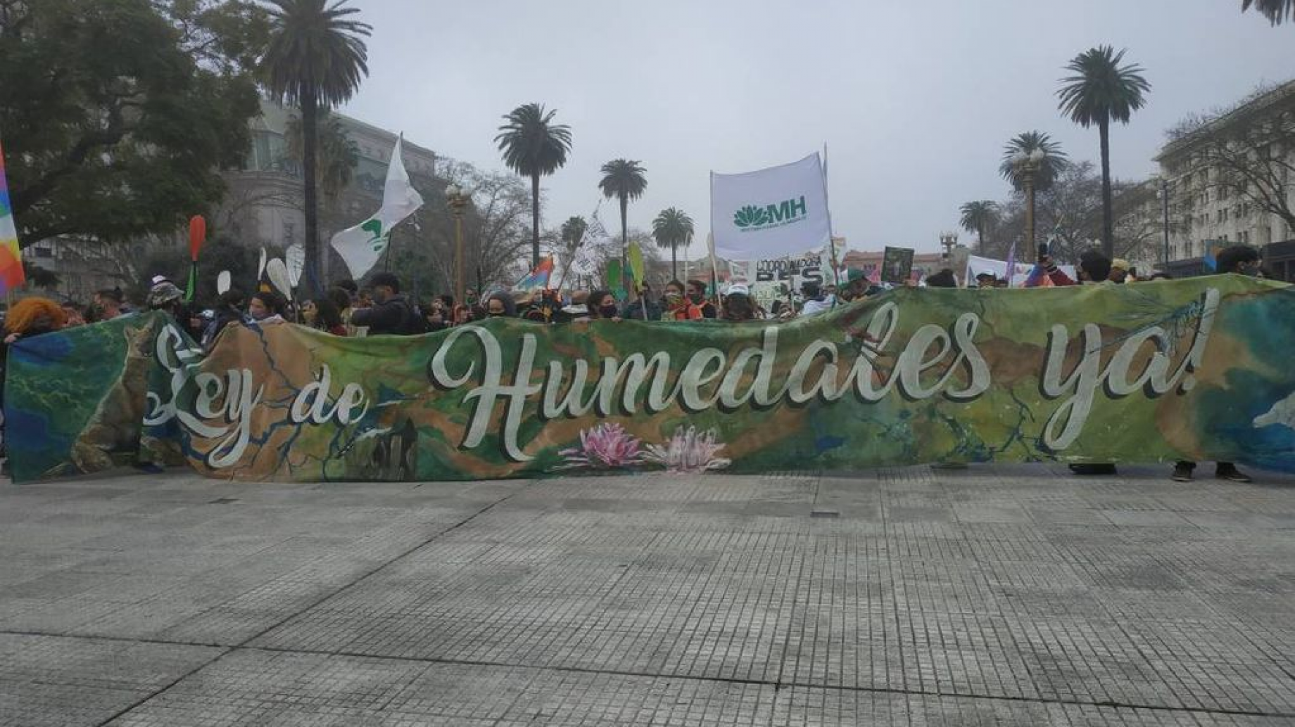 Políticos: rápidos para permitir edificios sobre humedales, lentos para dictar una ley que los proteja