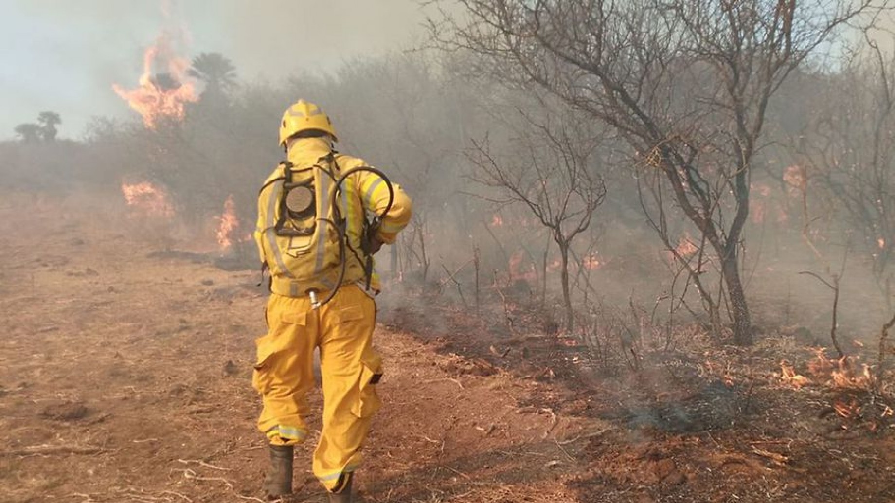 Incendios: "La negativa a discutir política ambiental se traduce en que no podamos mejorar la conservación, protección o producción en los ecosistemas"