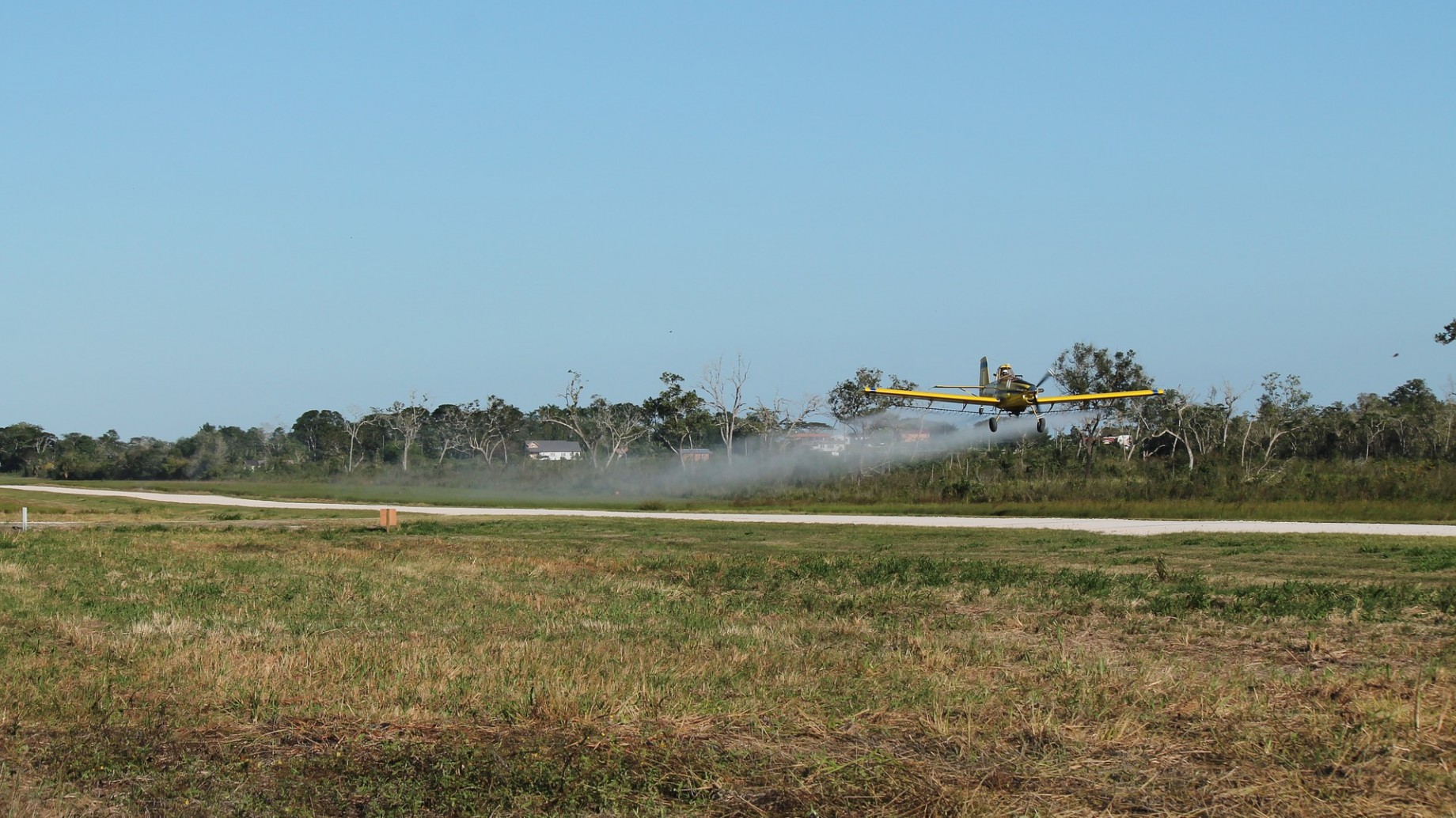 "El veneno llegó a la población", reconoció un intendente chaqueño tras una fumigación aérea, pero negó las intoxicaciones