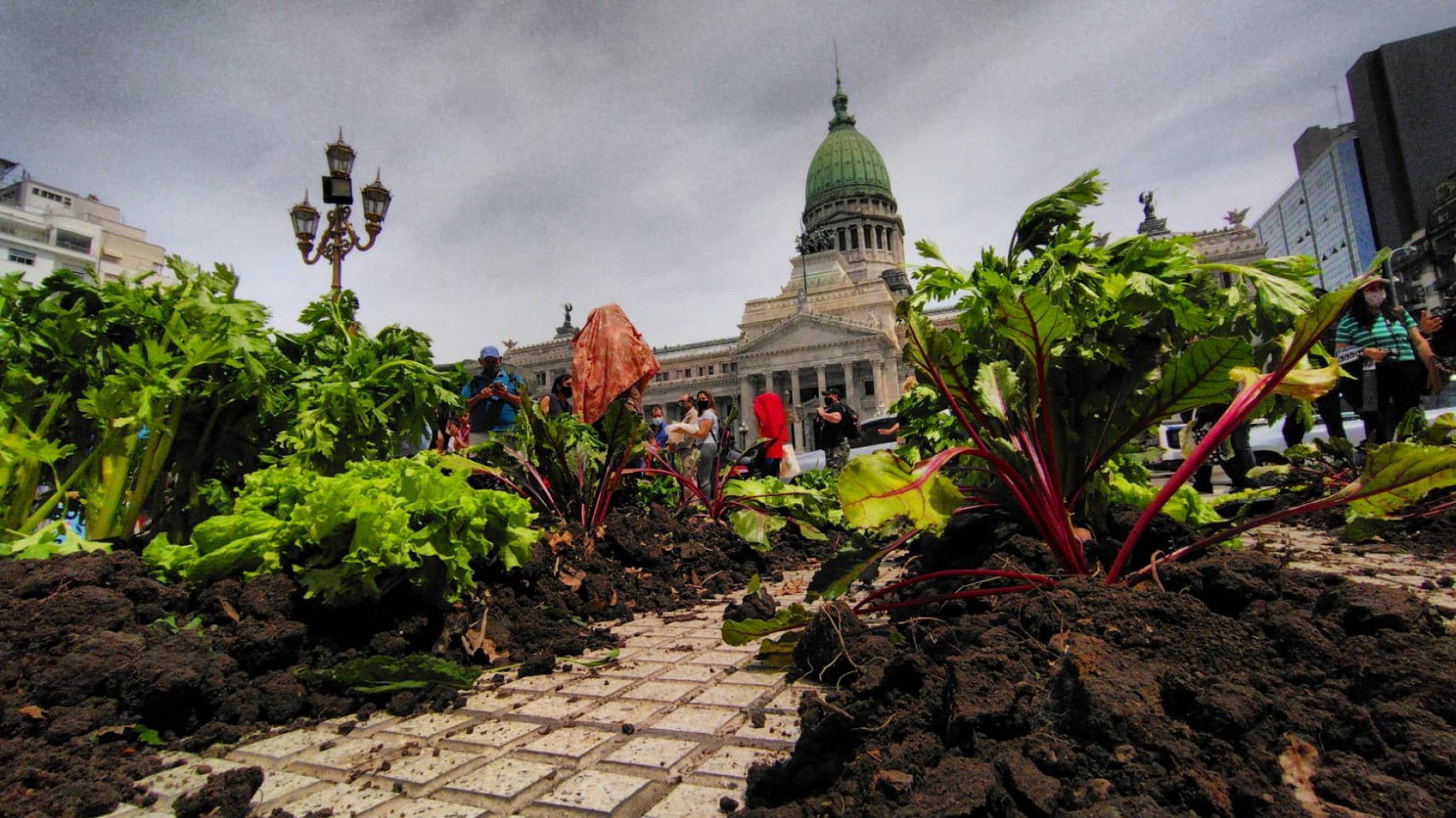 ¡Por fin! Tras años de lucha, el proyecto de Ley de Acceso a la Tierra de la UTT podrá tratarse en Diputados