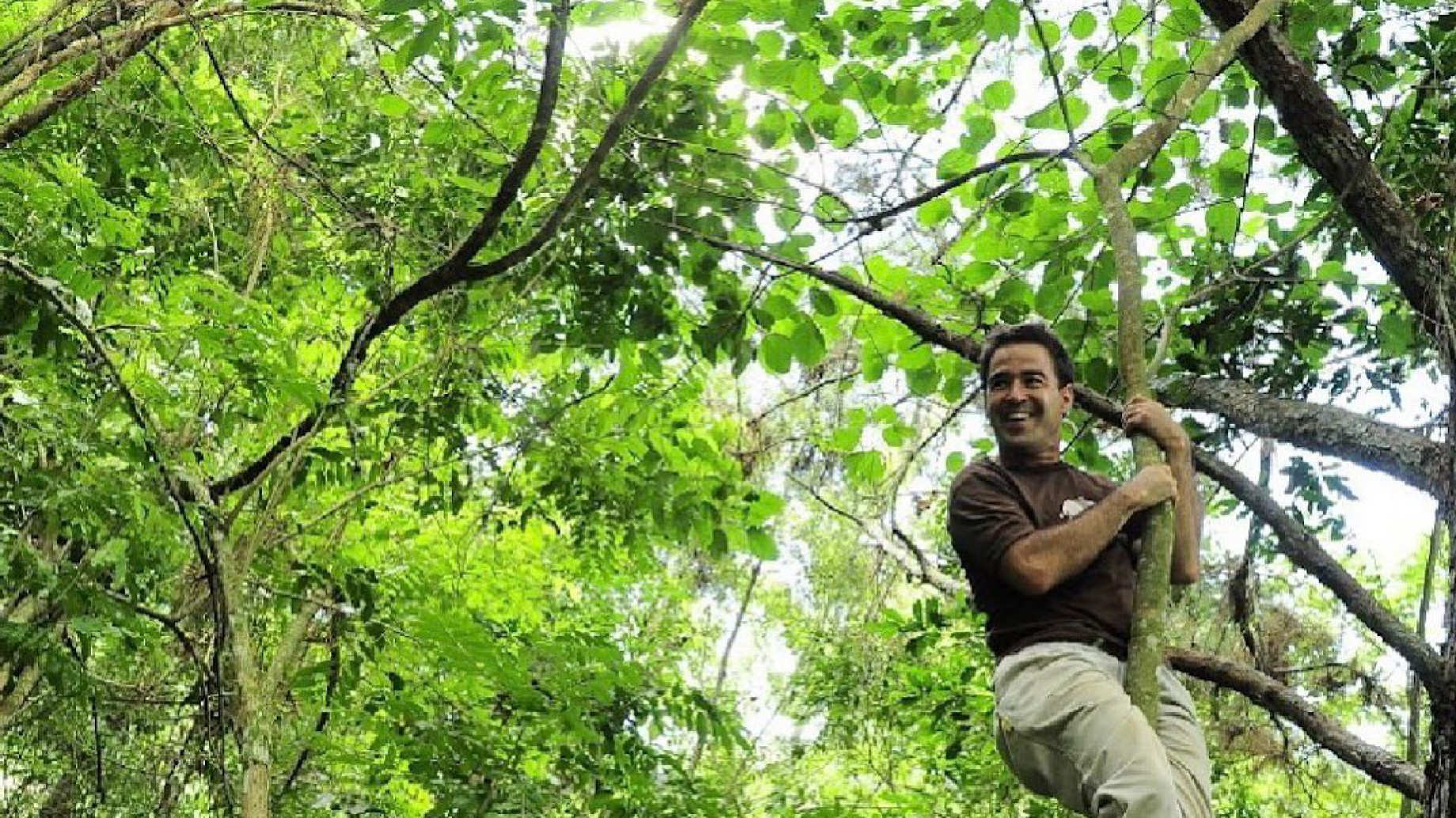 Día Mundial de los Bosques Autóctonos: "La Ley de Bosques necesita ser cumplida, no reformada"