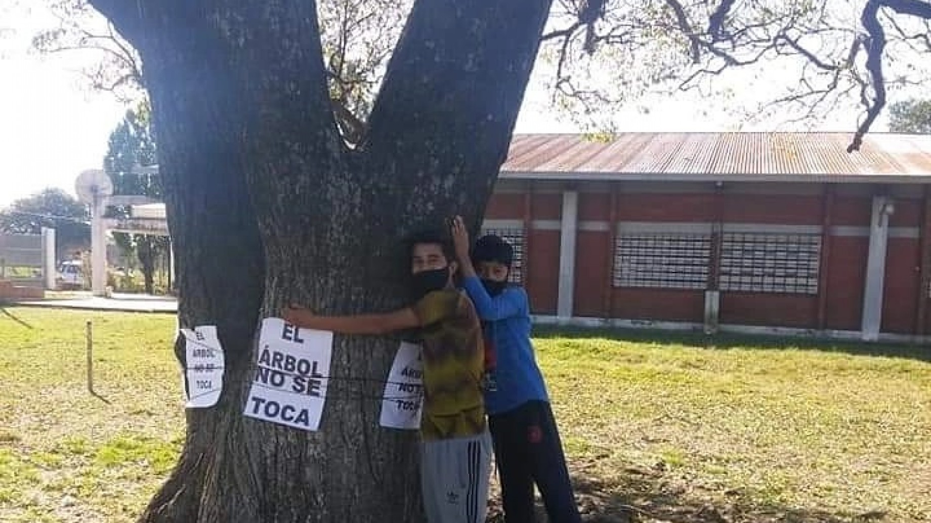 Basta de Mutilar Nuestros Árboles: "La acción nos salva y la unión nos fortalece"