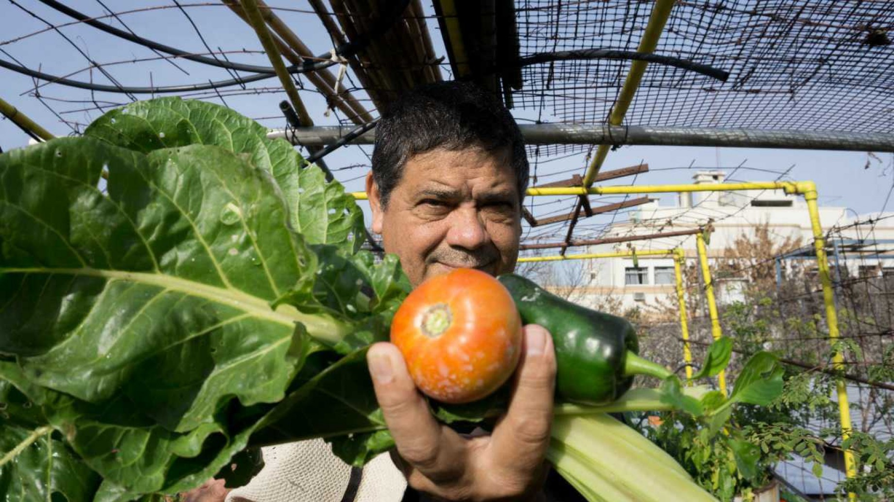 Se aprobó la ley que suma la carrera de Huertero Urbano a la enseñanza oficial en CABA, un paso más para la soberanía alimentaria