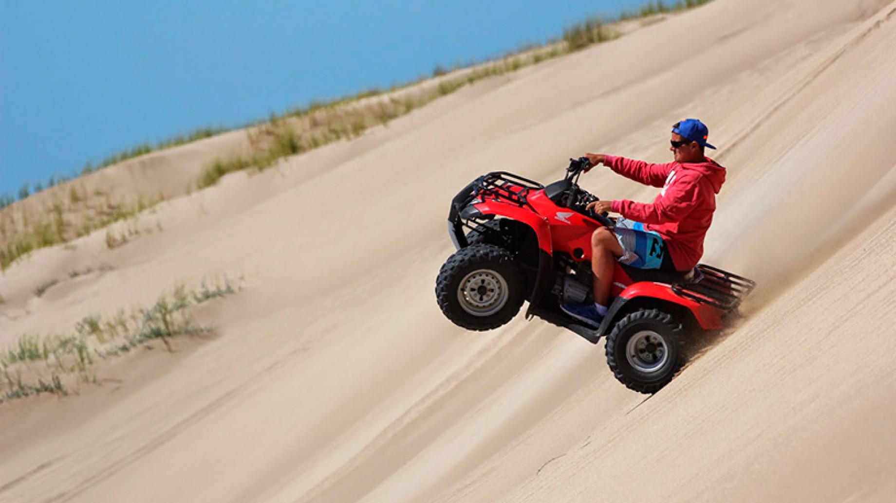 Las ONG que protegen las aves piden un uso responsable de camionetas, motos y cuatriciclos en las playas argentinas