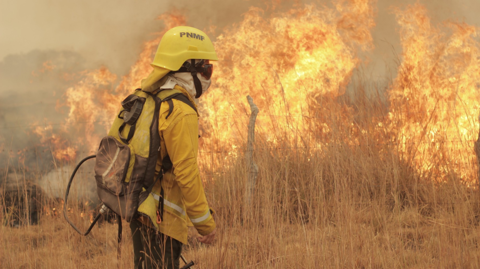 Incendios en Corrientes: el fuego ingresó al Parque Nacional Esteros del Iberá y los bomberos se lamentan porque no lo están pudiendo controlar