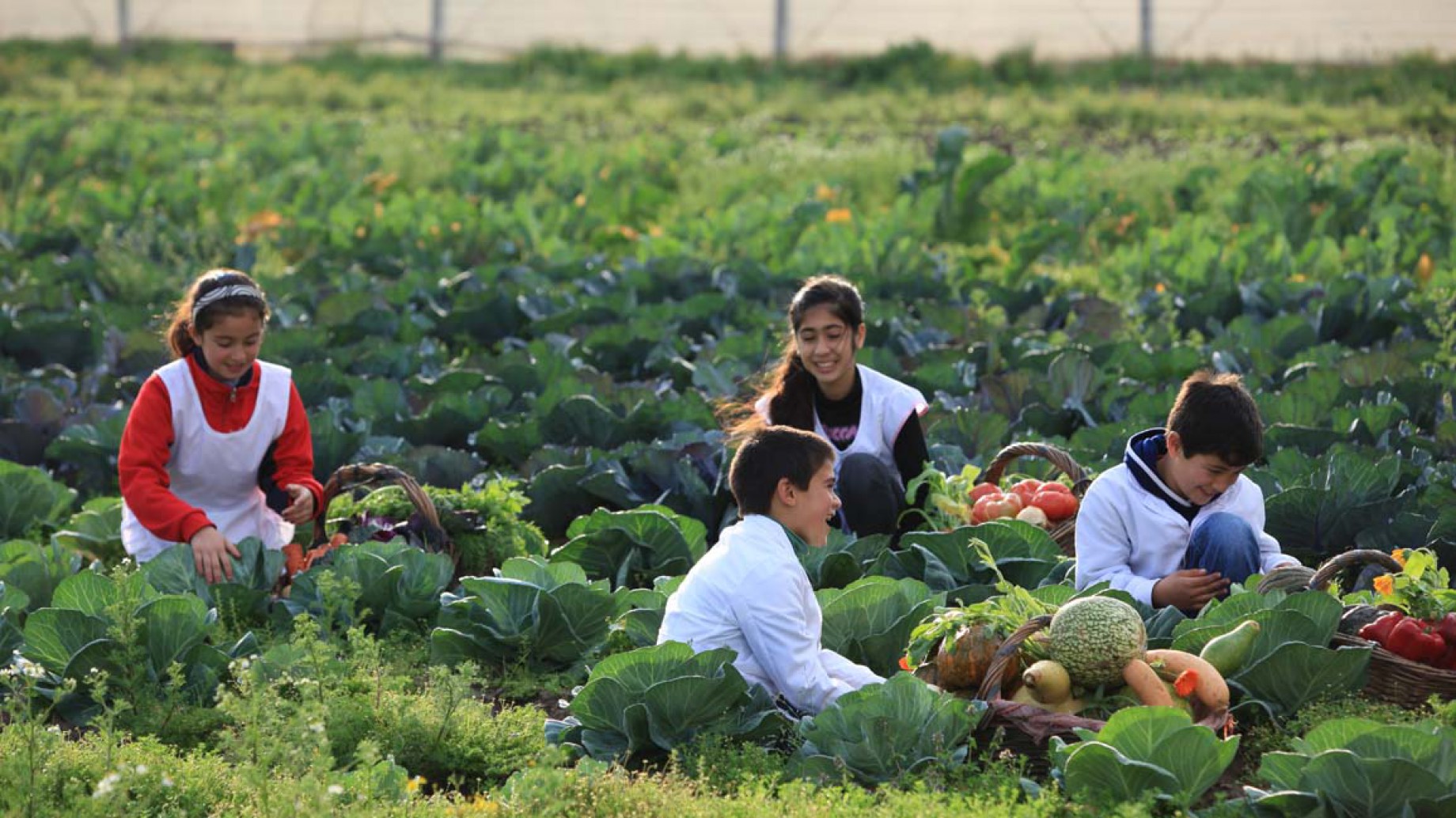 "Una taza de café con impacto positivo", así es el objetivo de Nespresso que involucra reciclaje y compostaje