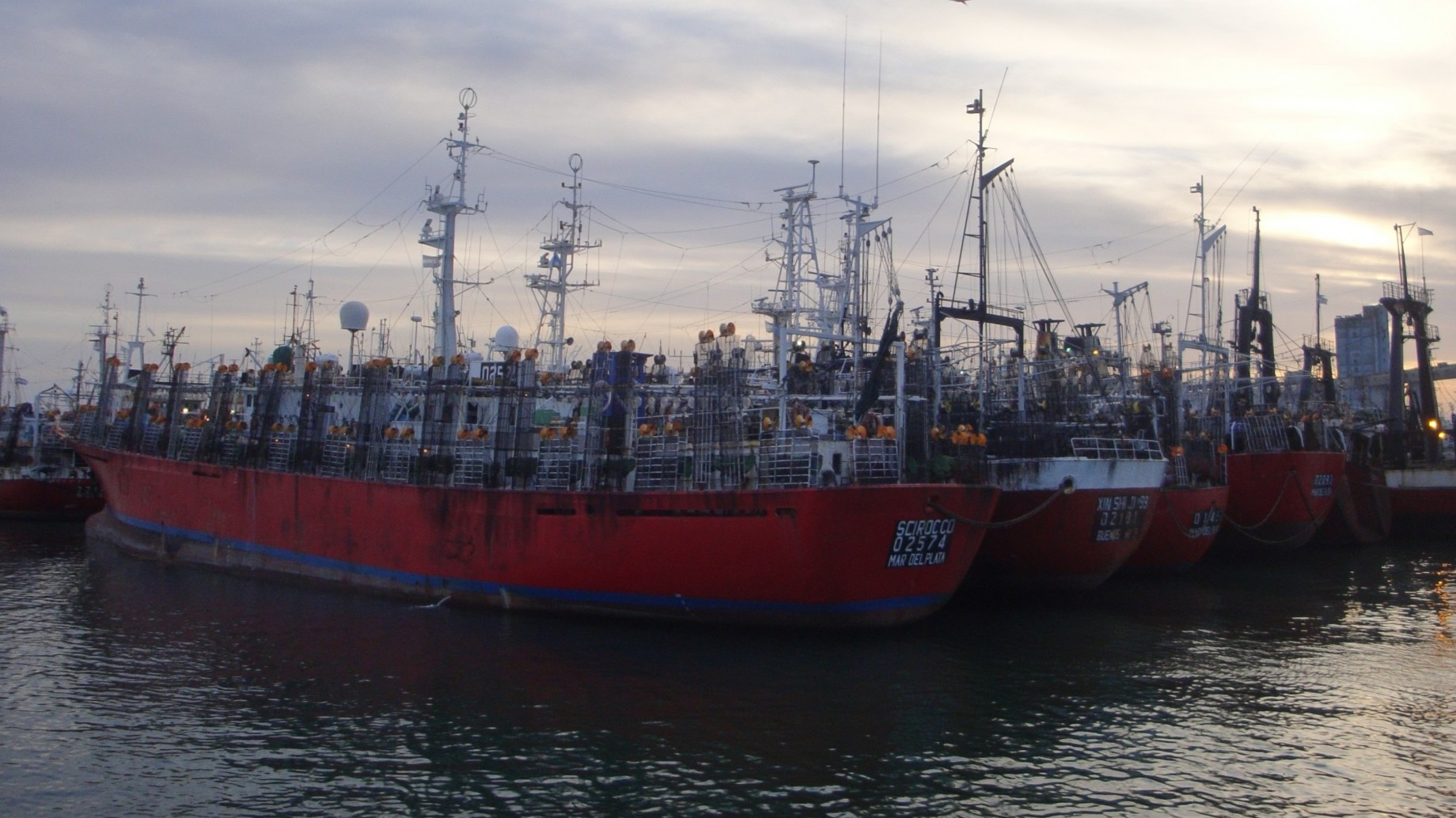 El puerto de Mar del Plata, una postal de la decadencia: el cementerio de barcos que puede volverse una "bomba ecológica"