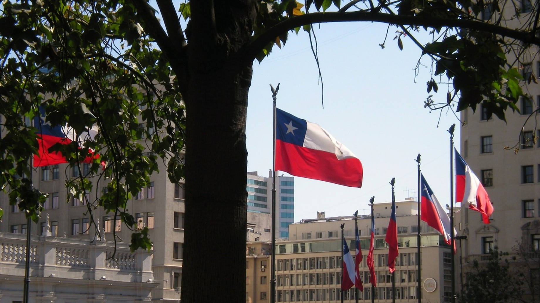 Chile hace historia: la Convención Constituyente aprobó los derechos de la Naturaleza