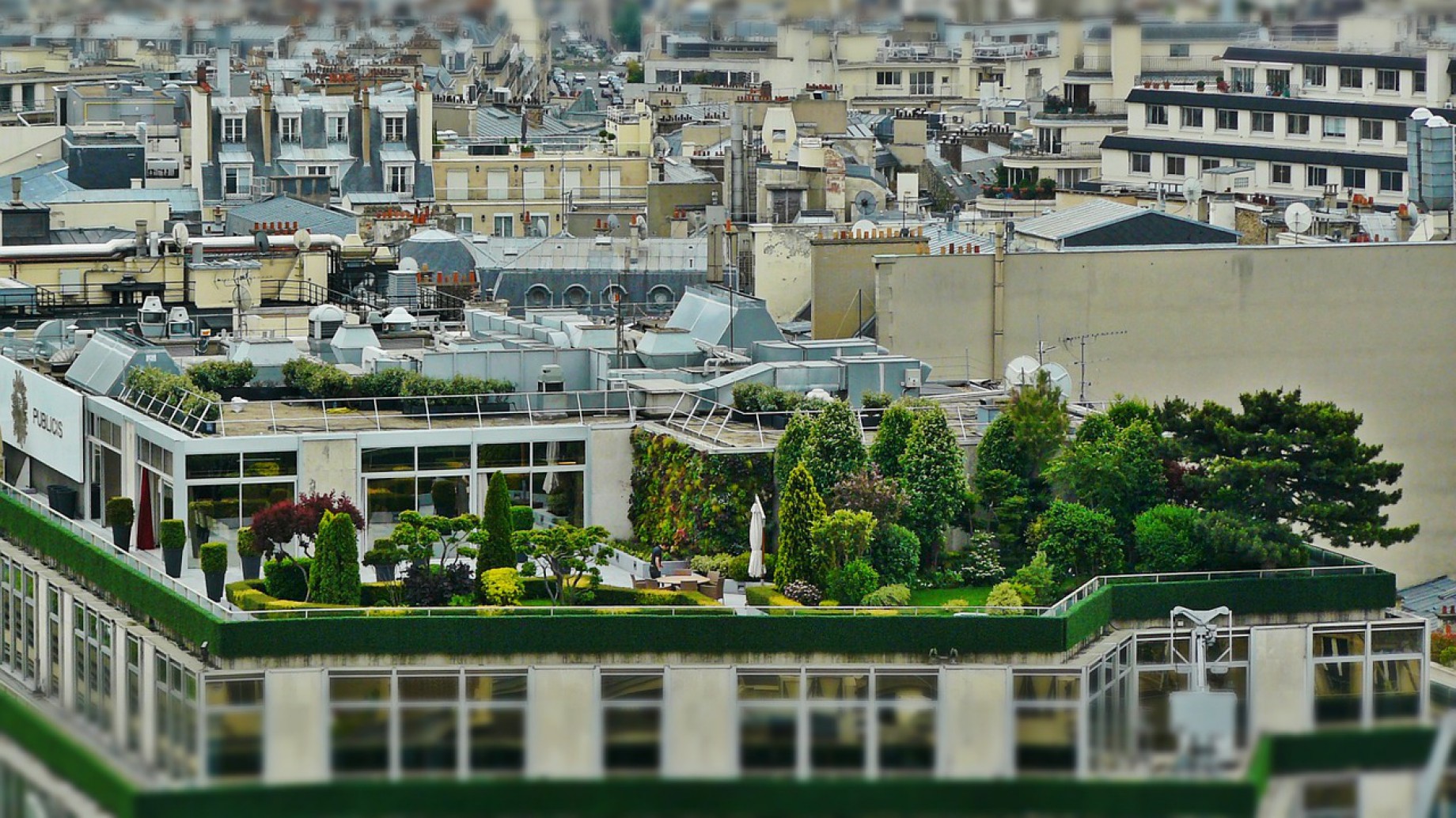 Ocho años de espera: la norma para promover las terrazas verdes de Buenos Aires aún no fue reglamentada