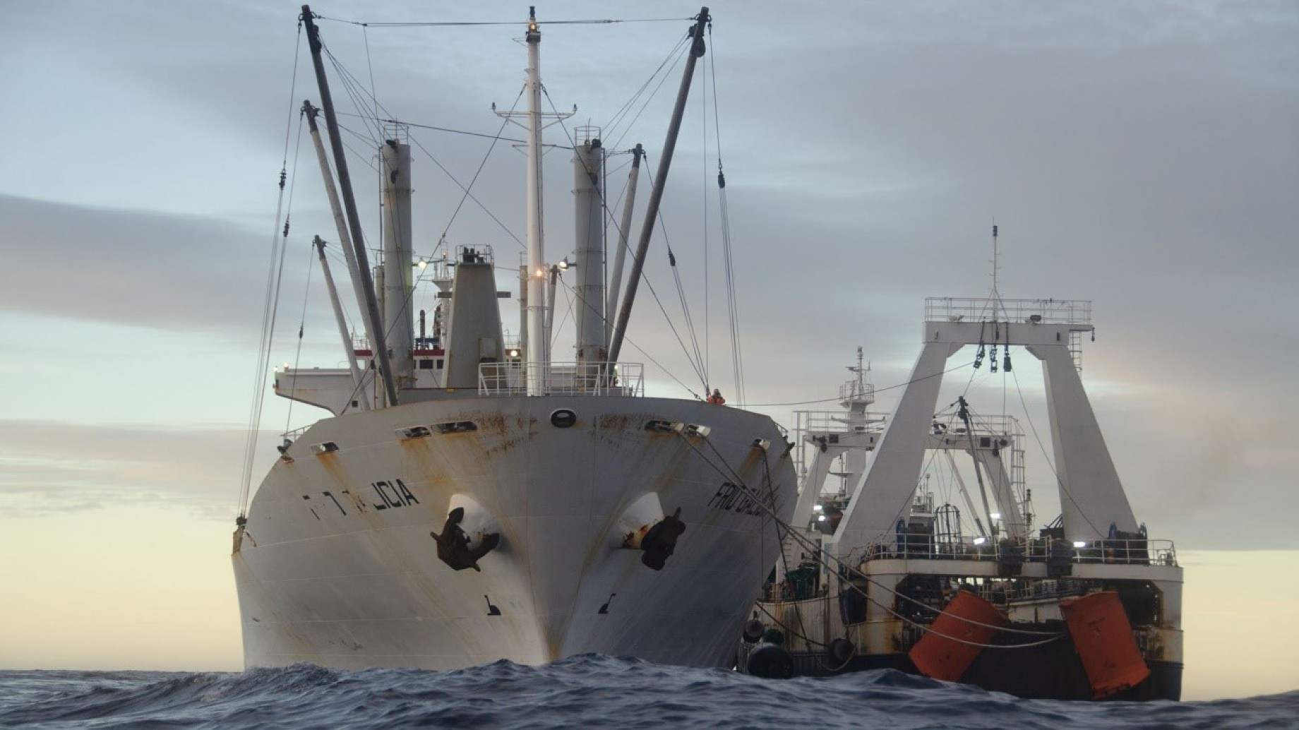 Se acerca el fin del "juego del calamar" en aguas argentinas: pocos ganan y casi todos pierden